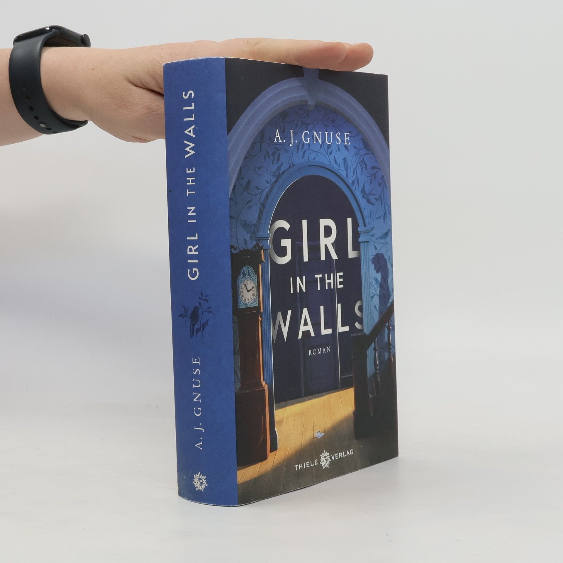 A. J. Gnuse Girl in the Walls