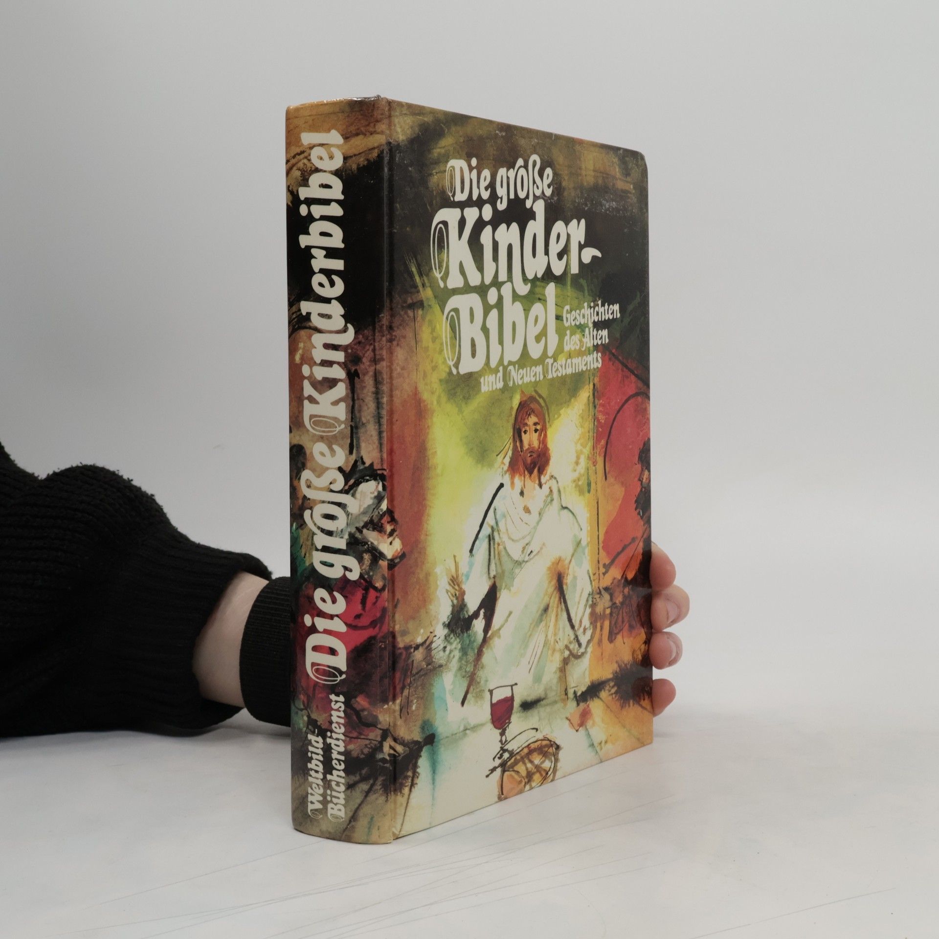 Autores varios Die große Kinder Bibel