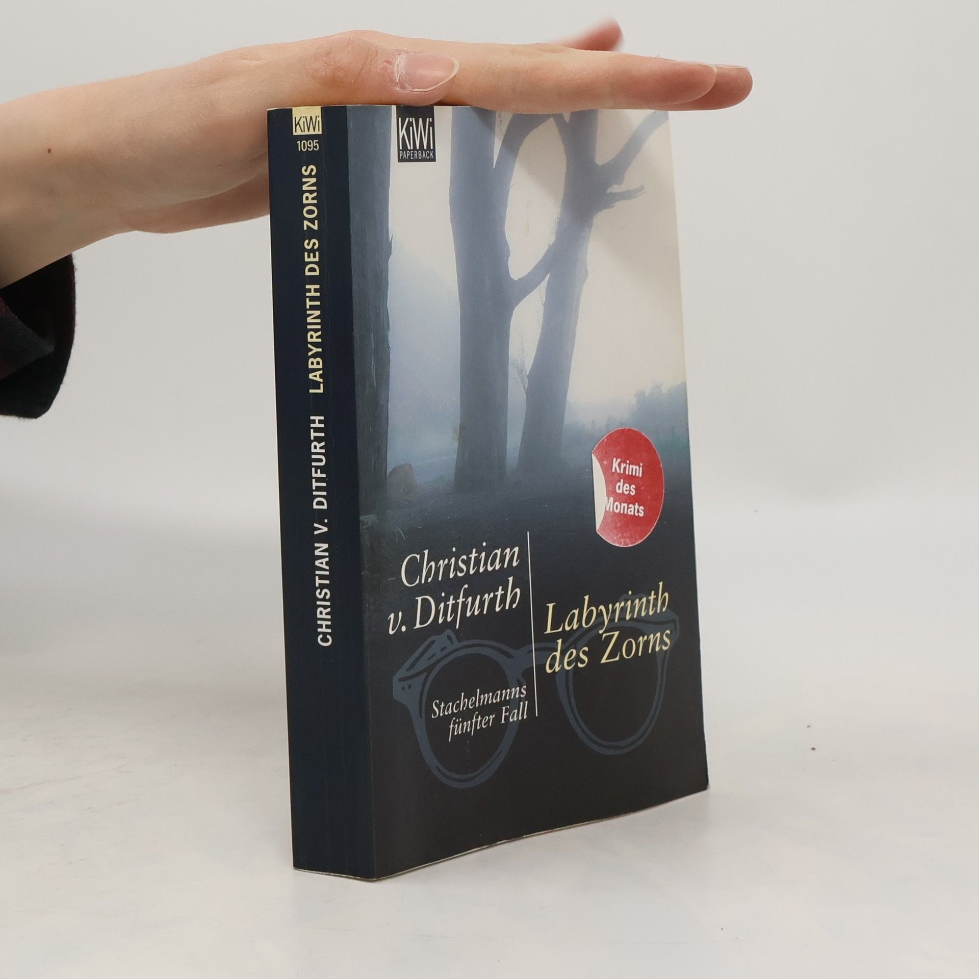 Christian v. Ditfurth Labyrinth des Zorns