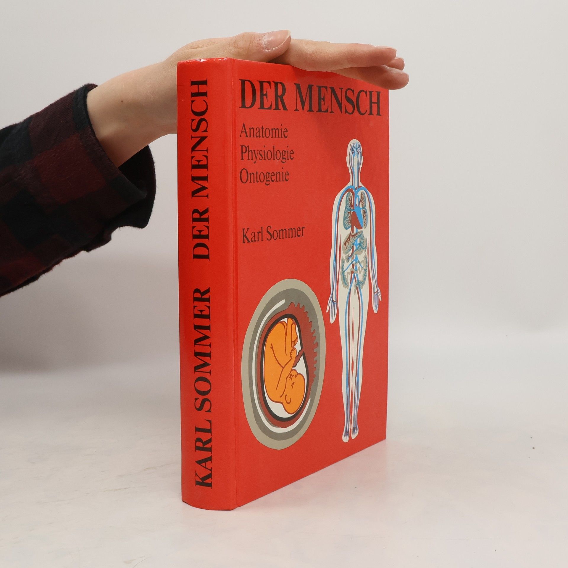 Karl Sommer Der Mensch