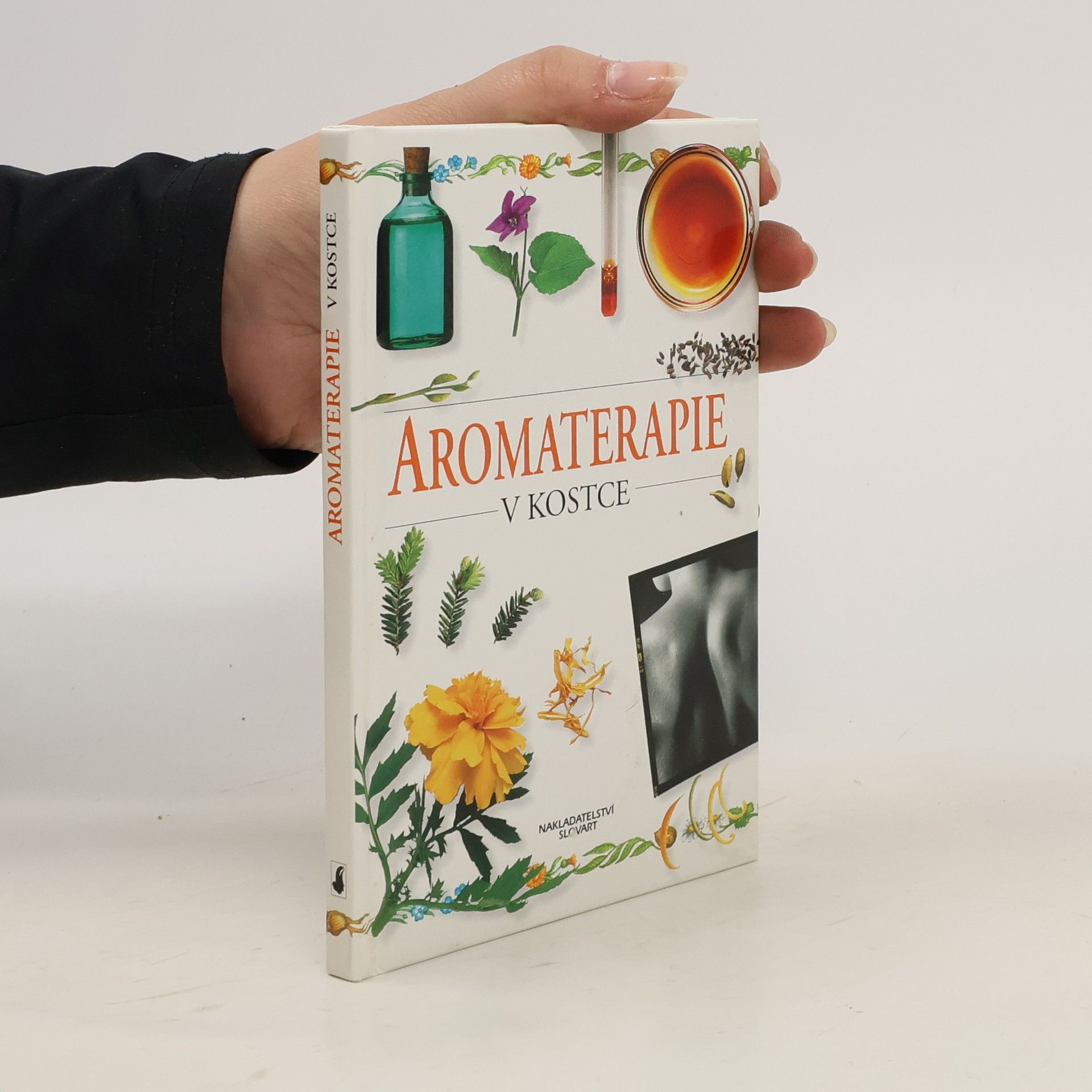Sheila Lavery Aromaterapie v kostce