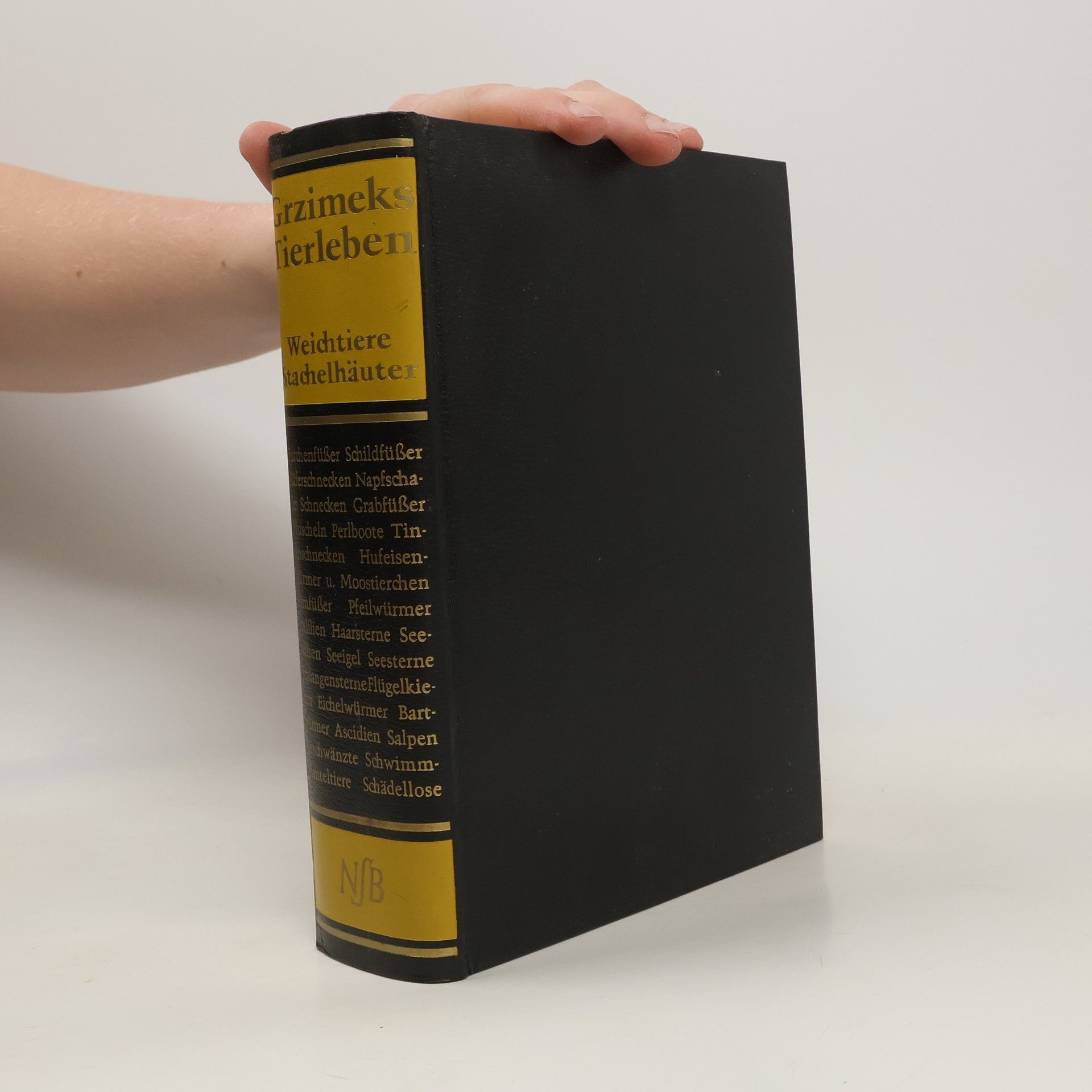 Berhard Grzimek Grzimeks Tierleben III. Weichtiere und Stachelhäute