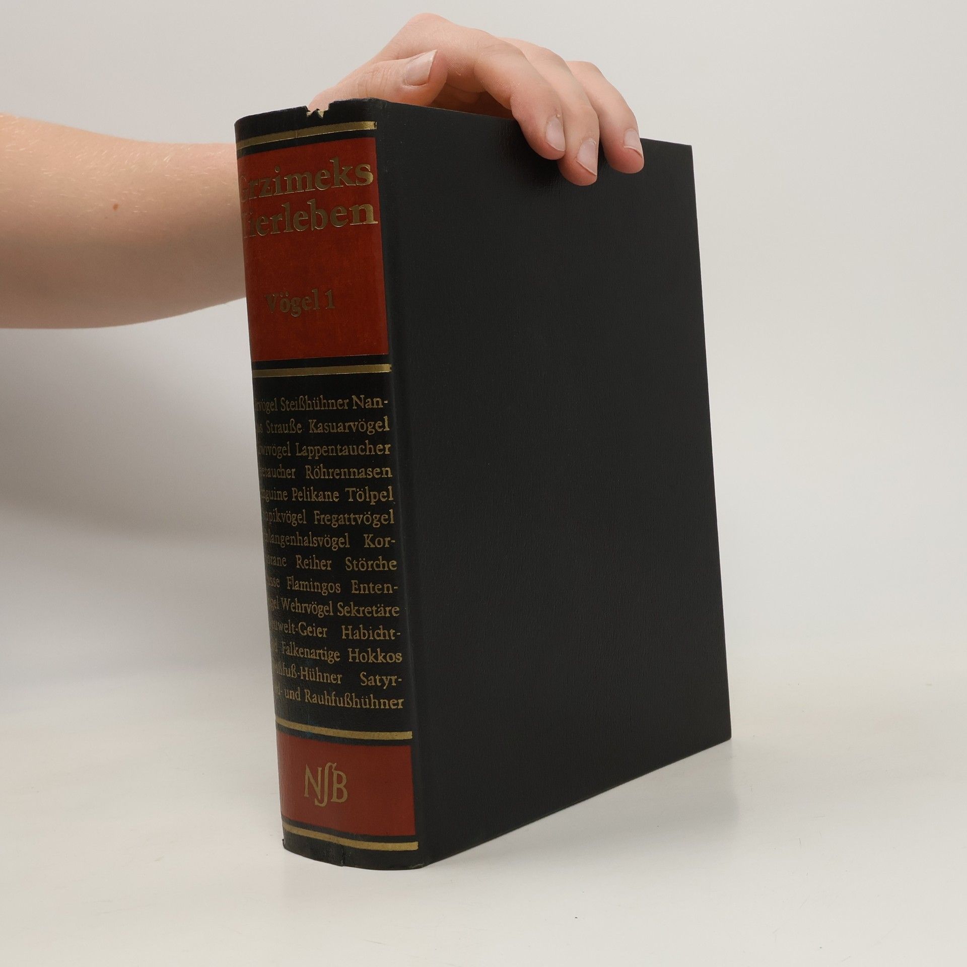 Kolektív autorov Grzimeks Teirleben. Vögel 1