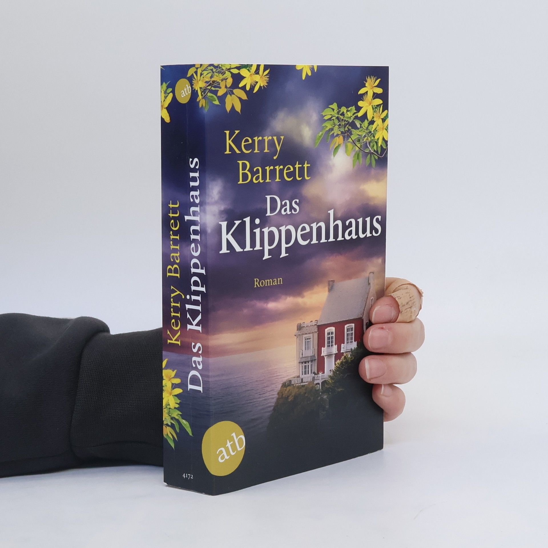 Kerry Barrett Das Klippenhaus. Roman