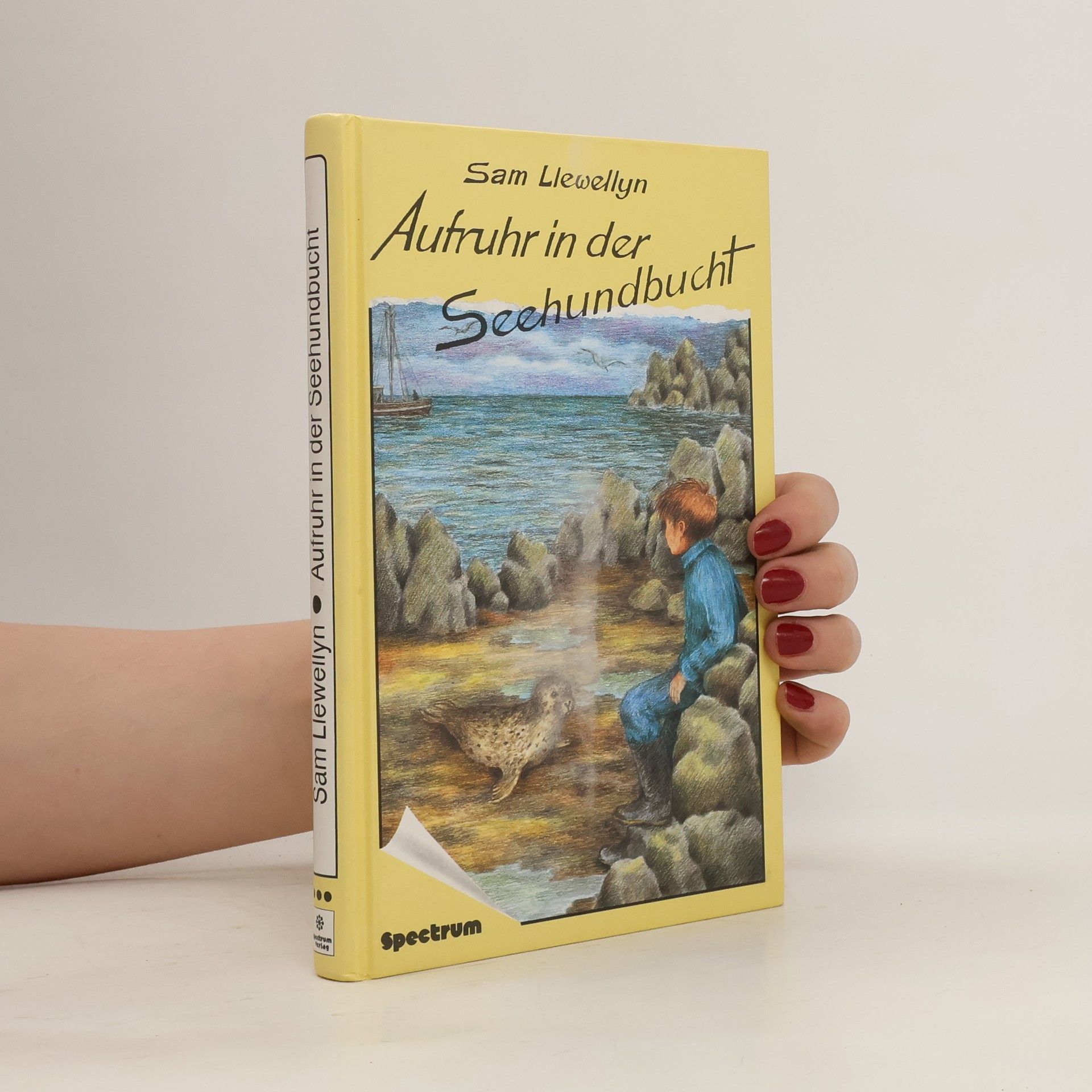 Sam Llewellyn Aufruhr in der Seehundbucht