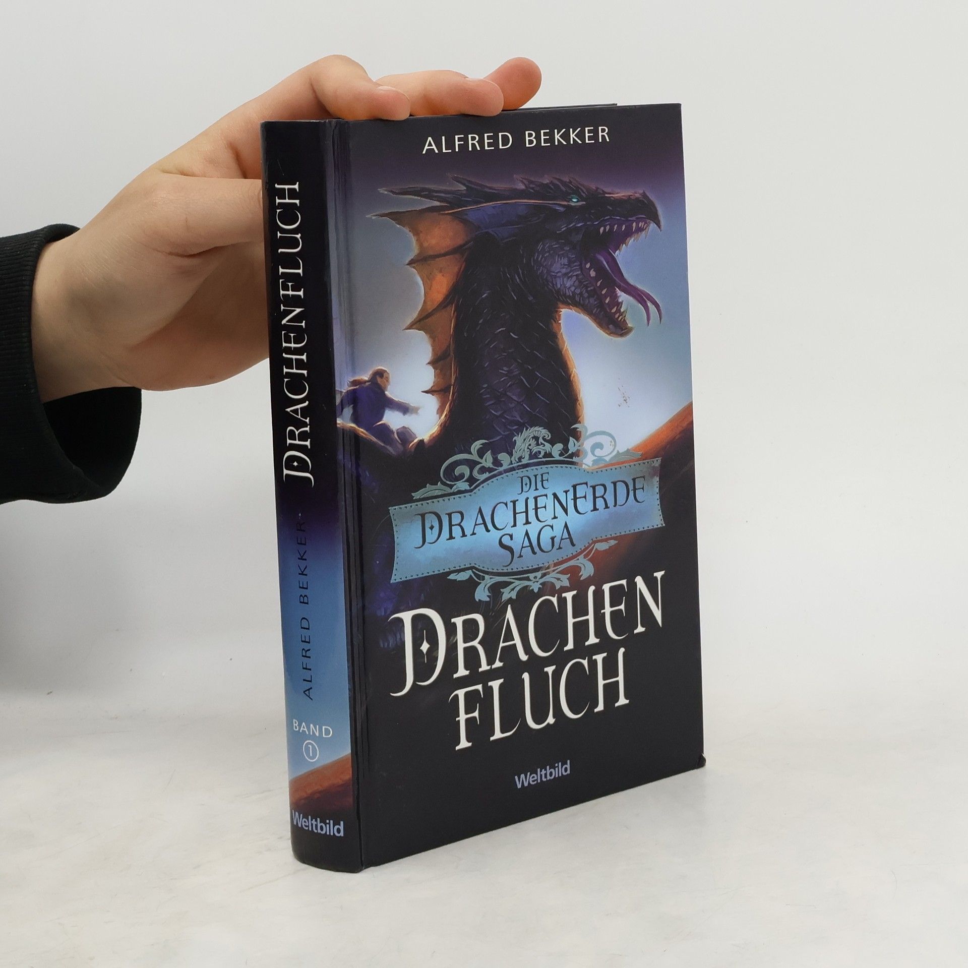 Alfred Bekker Die Drachenerde-Saga. Drachenring