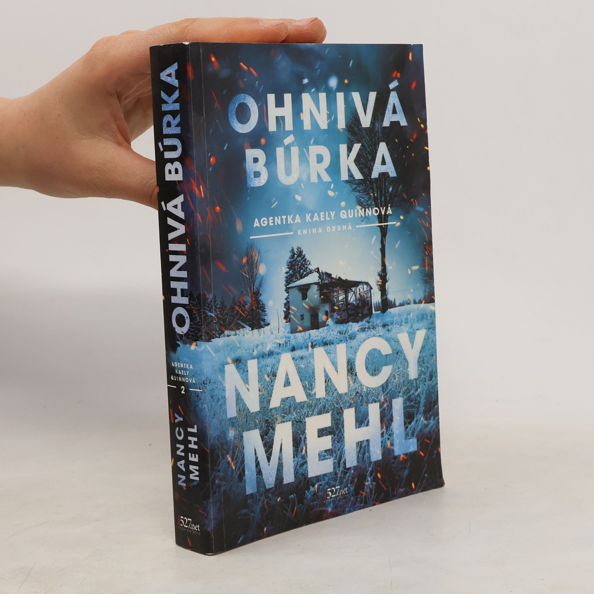 Nancy Mehl Ohnivá búrka