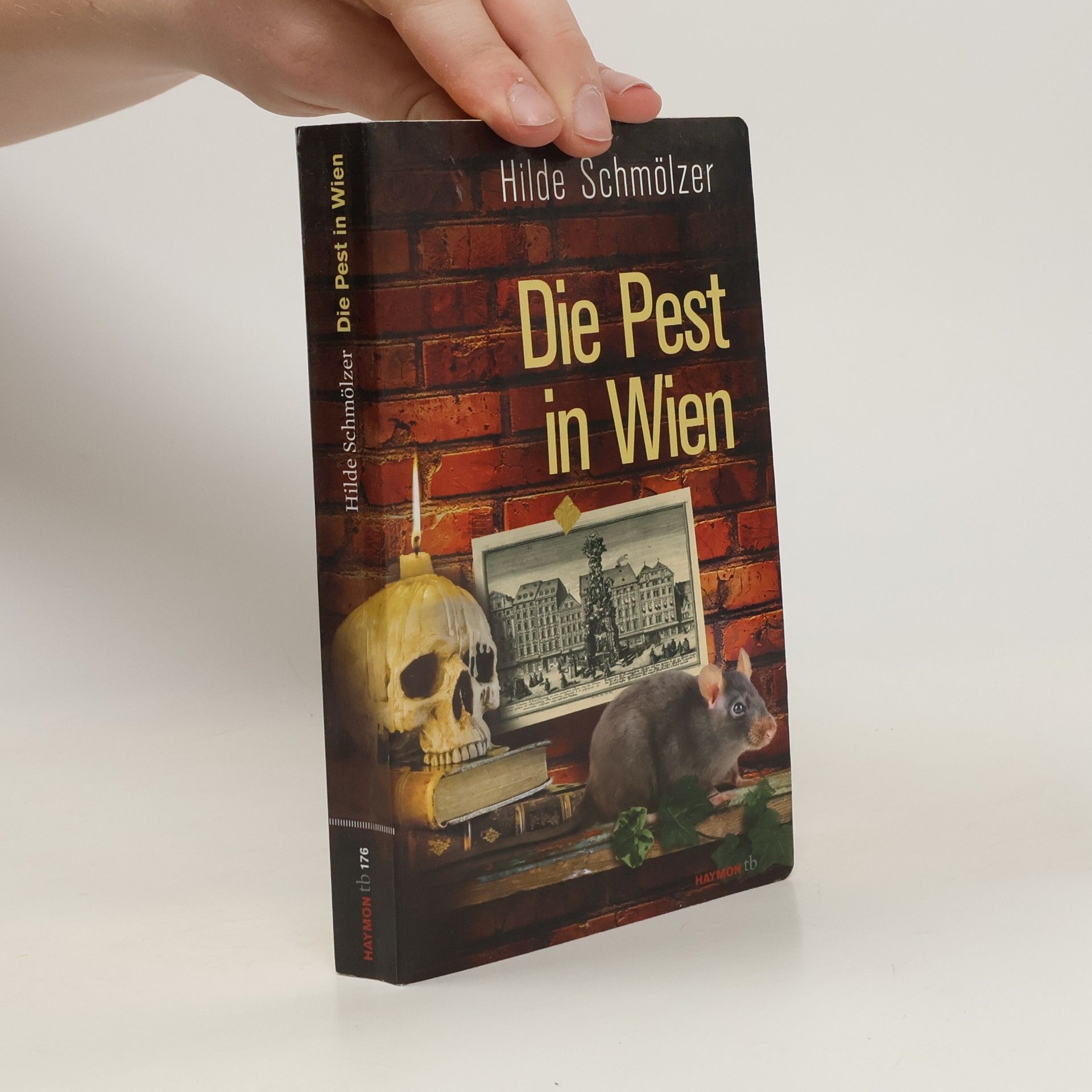 Hilde Schmölzer Die Pest in Wien