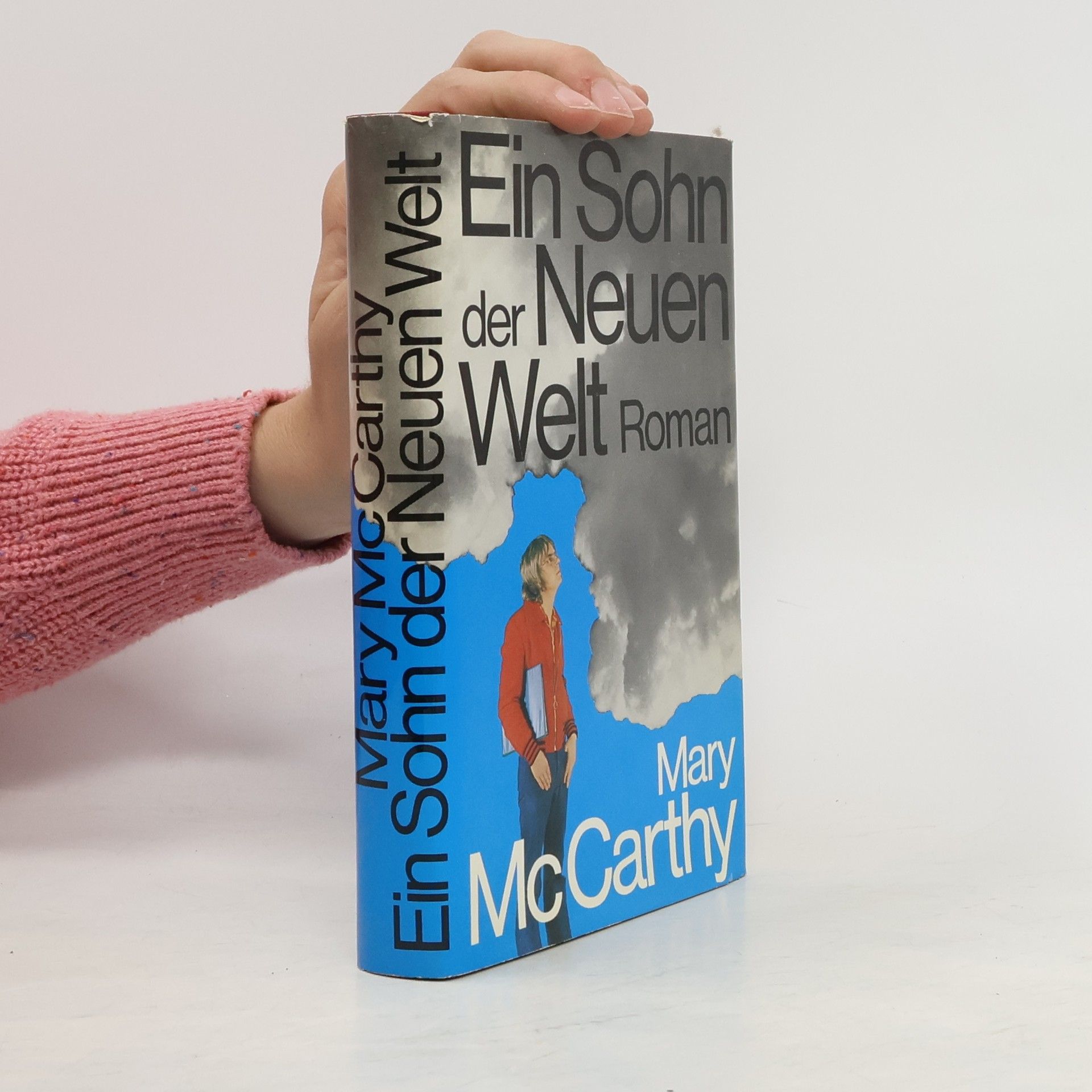 Mary Therese MacCarthy Ein Sohn der Neuen Welt