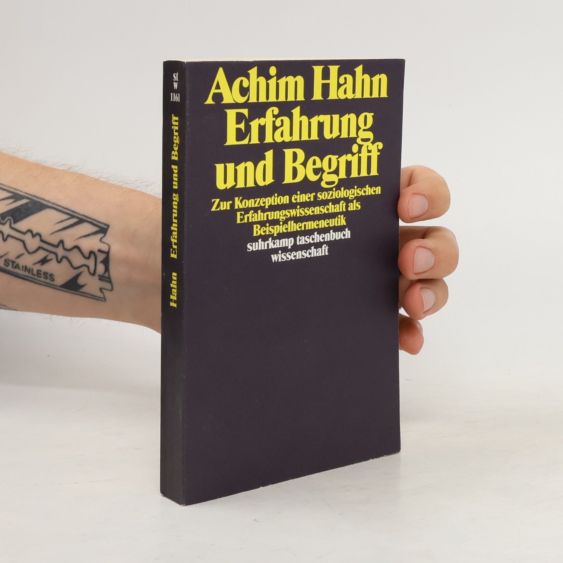 Achim Hahn Erfahrung und Begriff