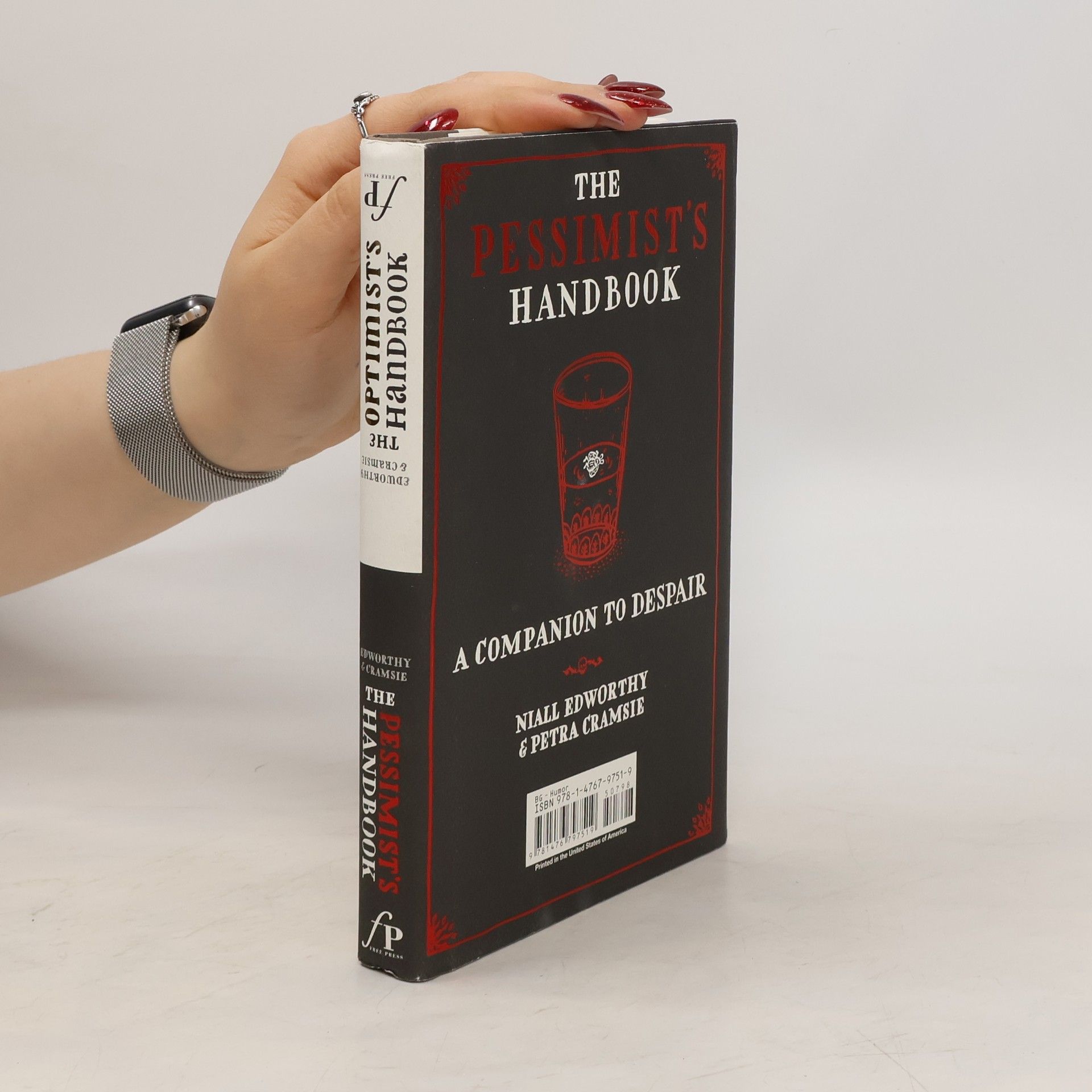 Niall Edworthy The Optimist's Handbook: a Companion to Hope