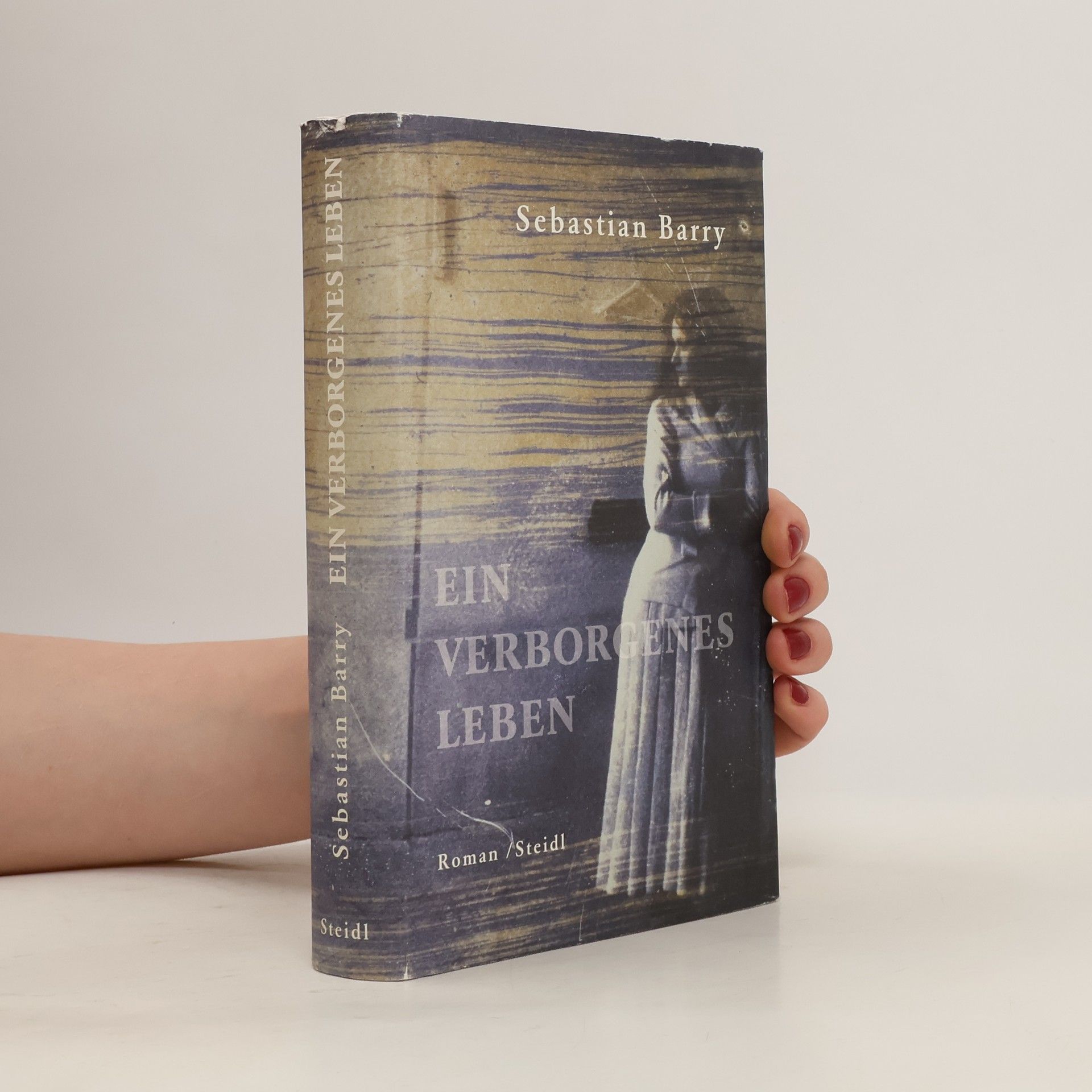 Sebastian Barry Ein verborgenes Leben