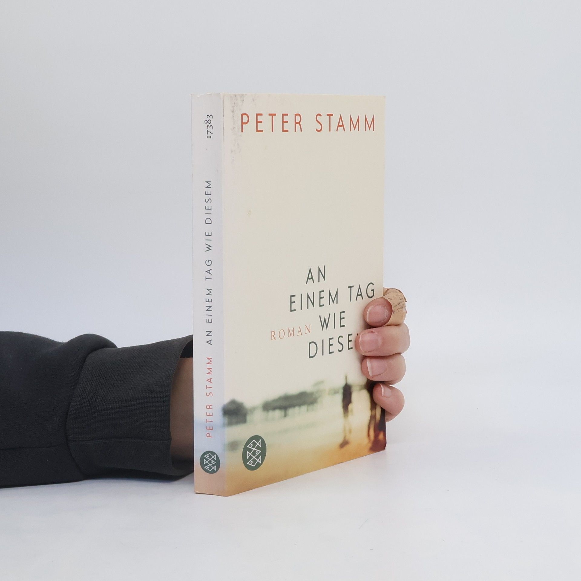 Peter Stamm An einem Tag wie diesem