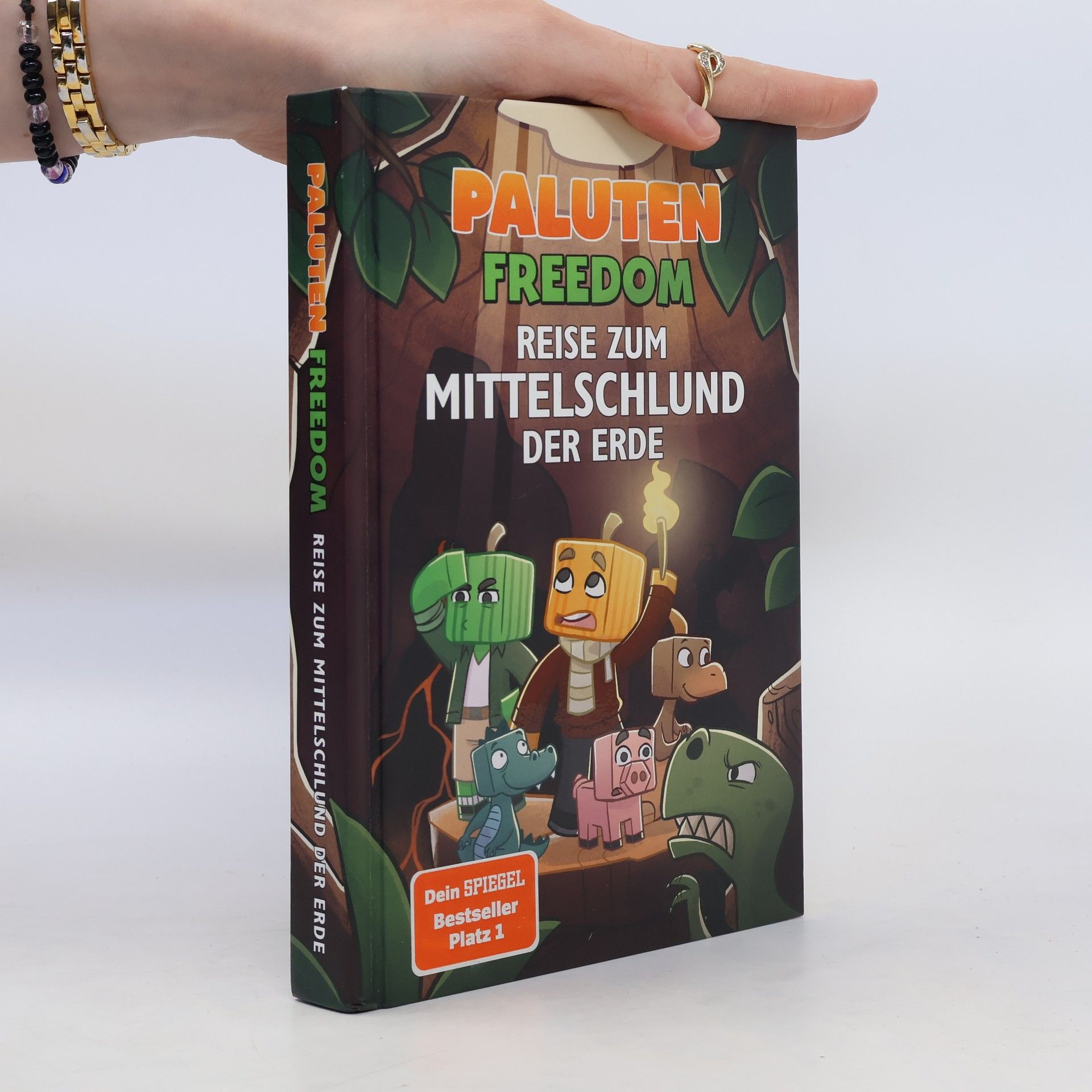 Klaas Kern Reise zum Mittelschlund der Erde
