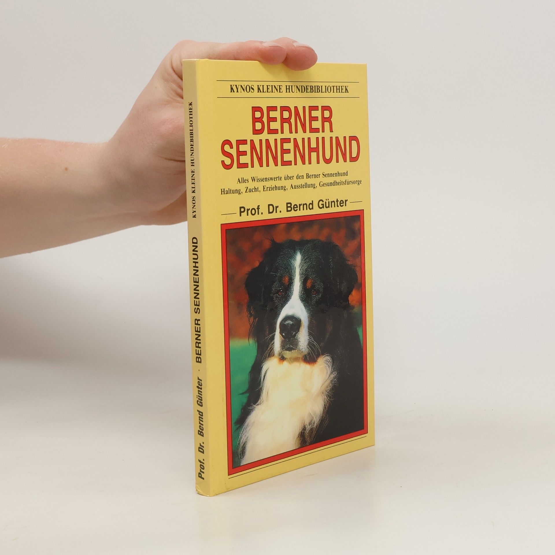Bernd Günter Berner Sennenhund
