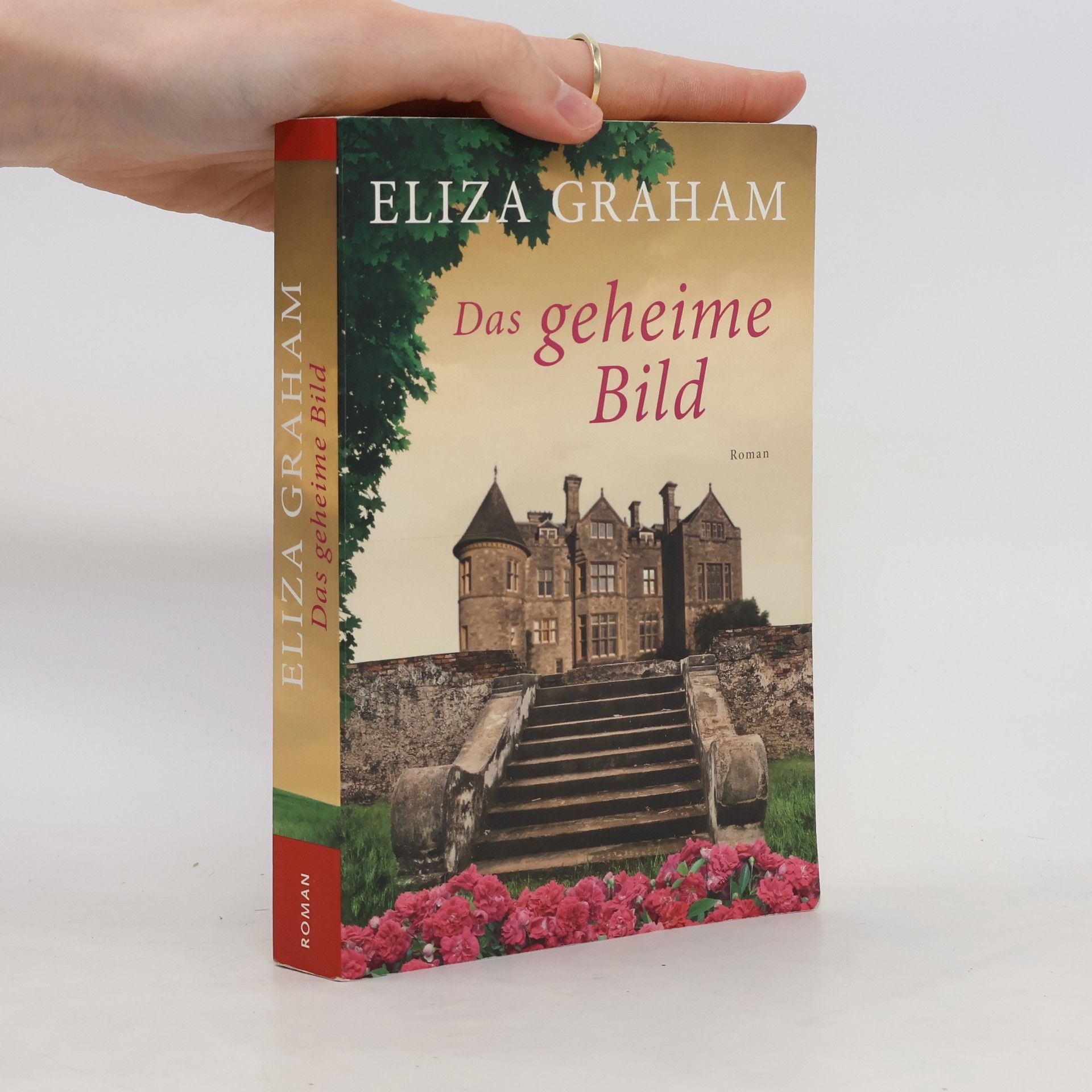 Eliza Graham Das geheime Bild