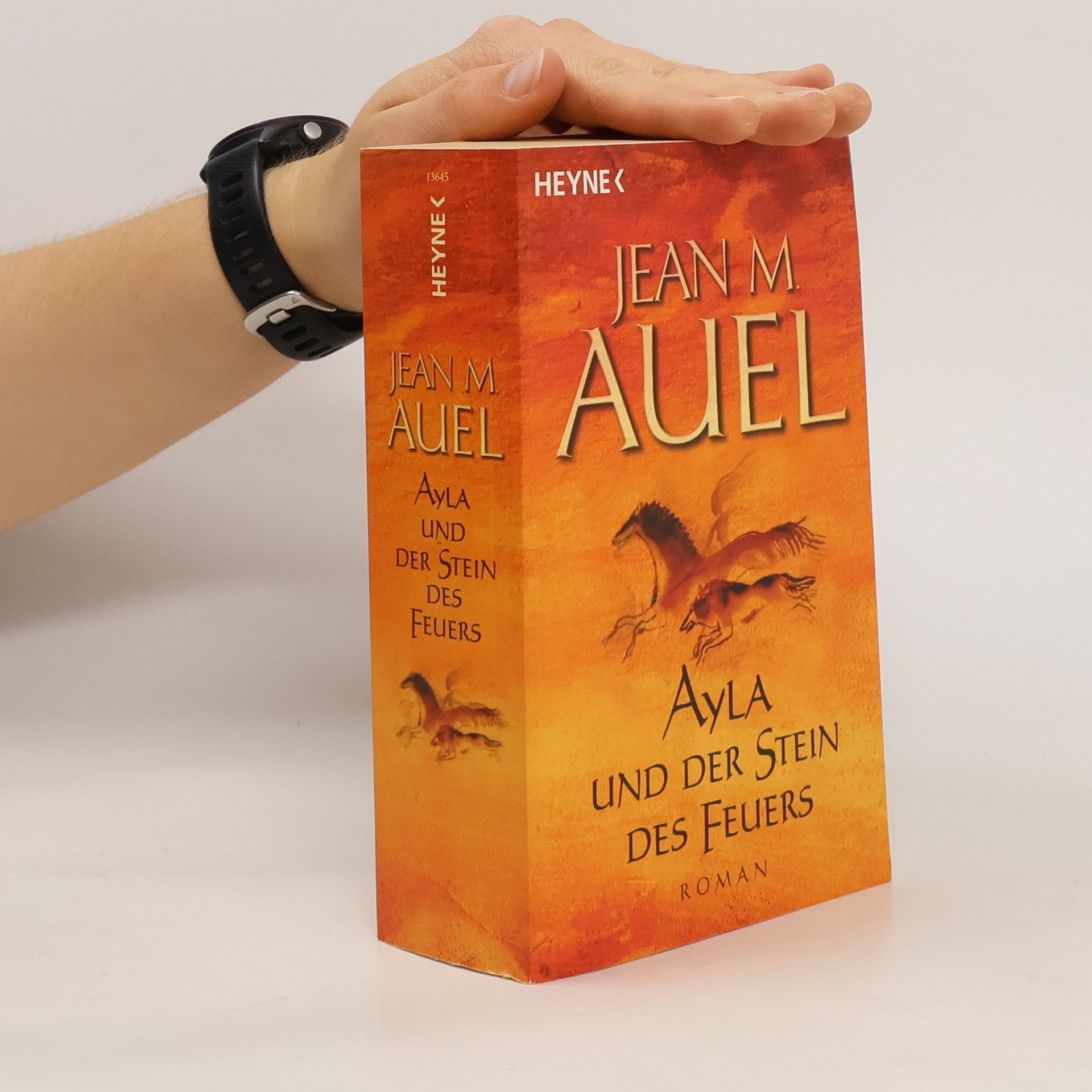 Jean M. Jean Marie Auel Ayla und der Stein des Feuers