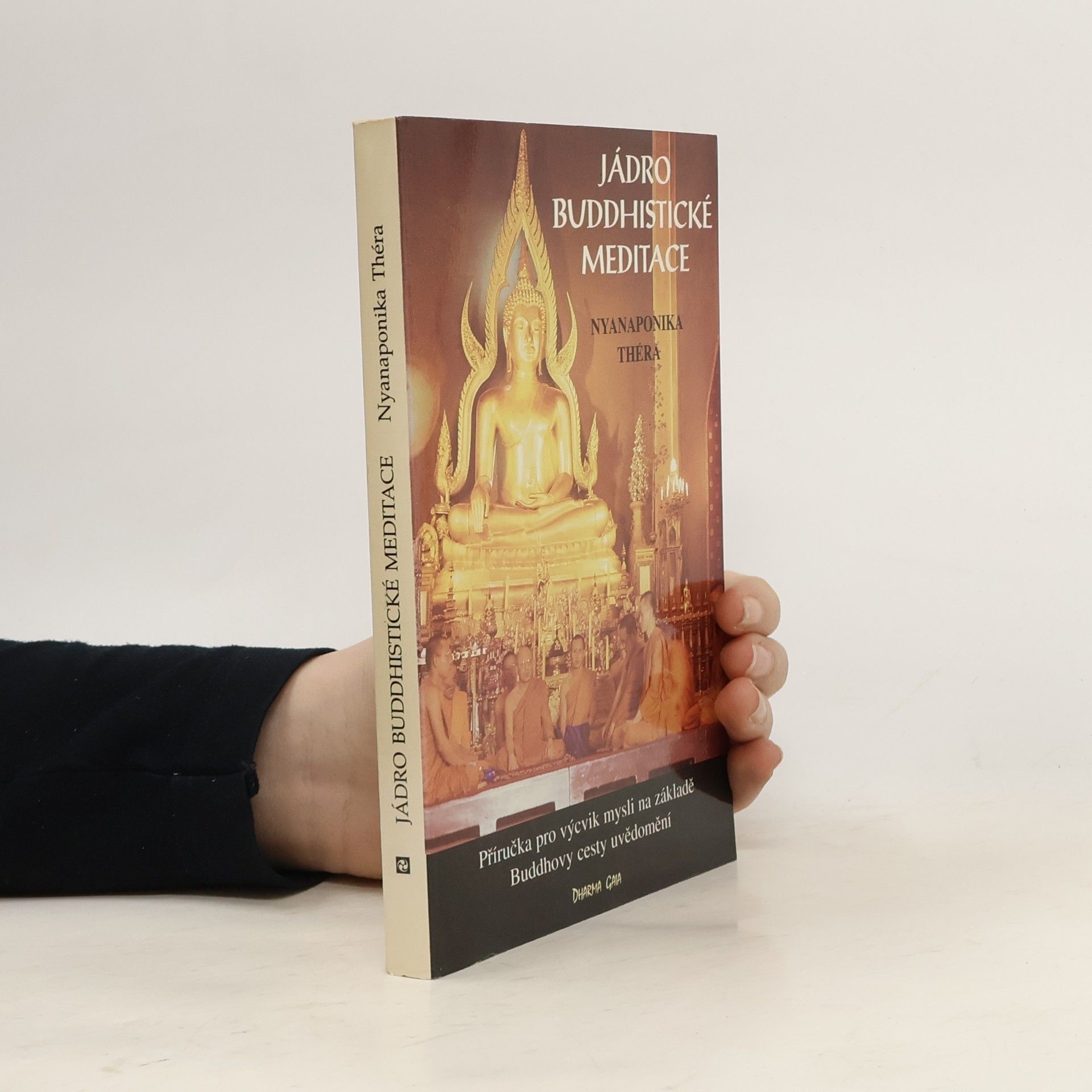 Karel Werner Jádro buddhistické meditace : satipatthána : příručka pro výcvik mysli na základě Buddhovy cesty uvědomění : s antologií textů přeložených z pálijštiny a sanskrtu
