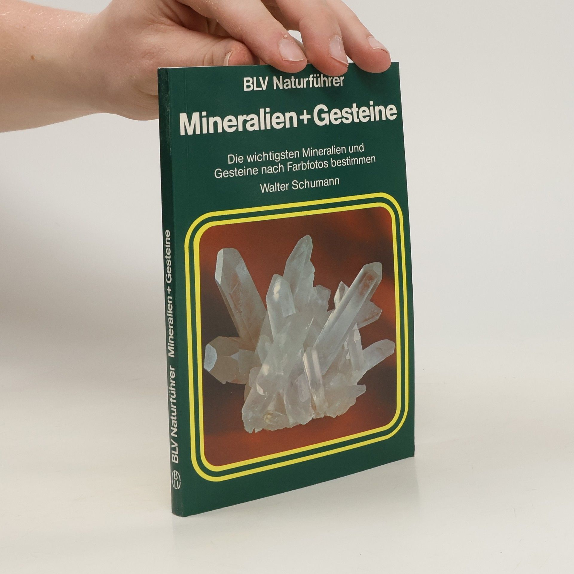 Walter Schumann Mineralien + Gesteine