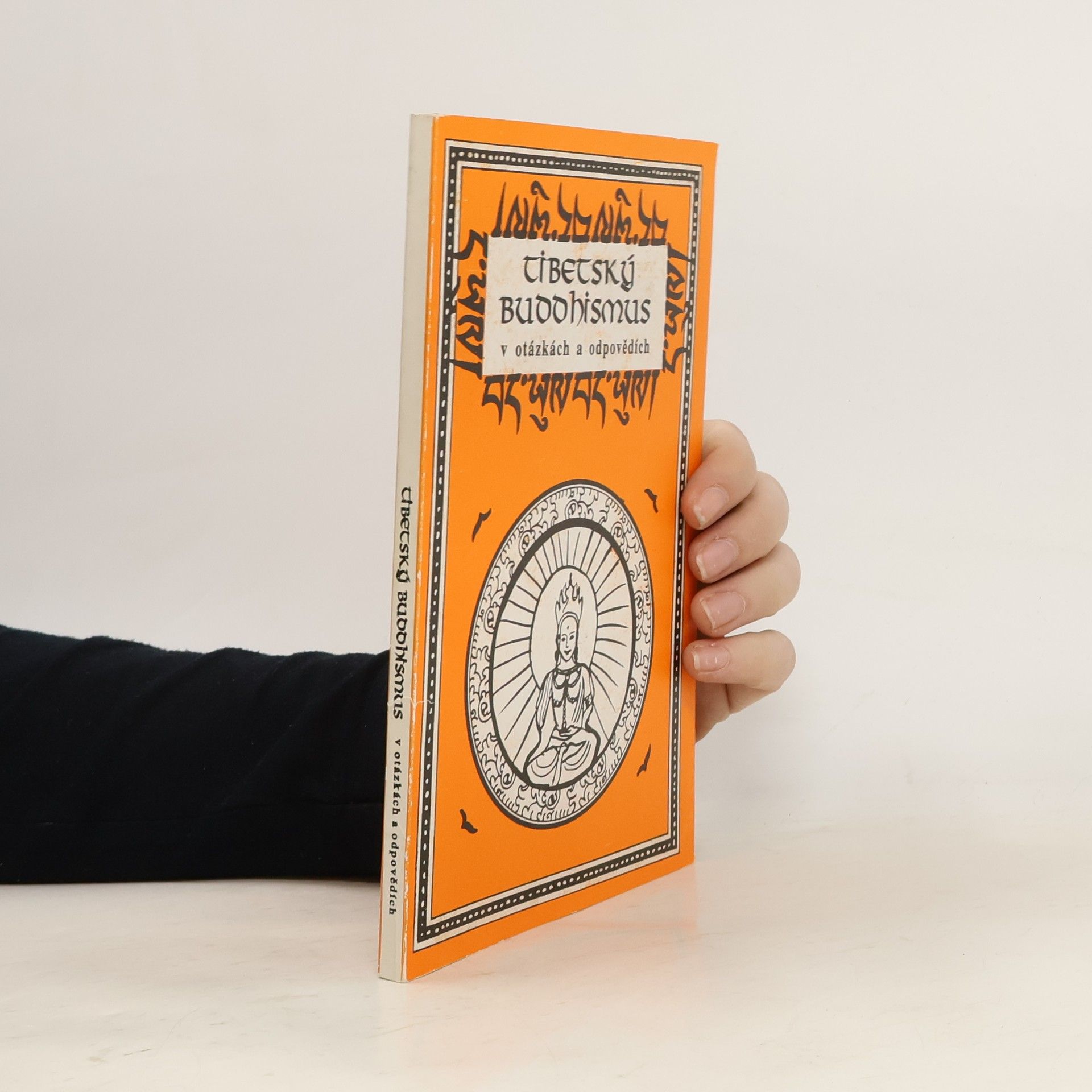 Kolektiv autorů Tibetský buddhismus v otázkách a odpovědích