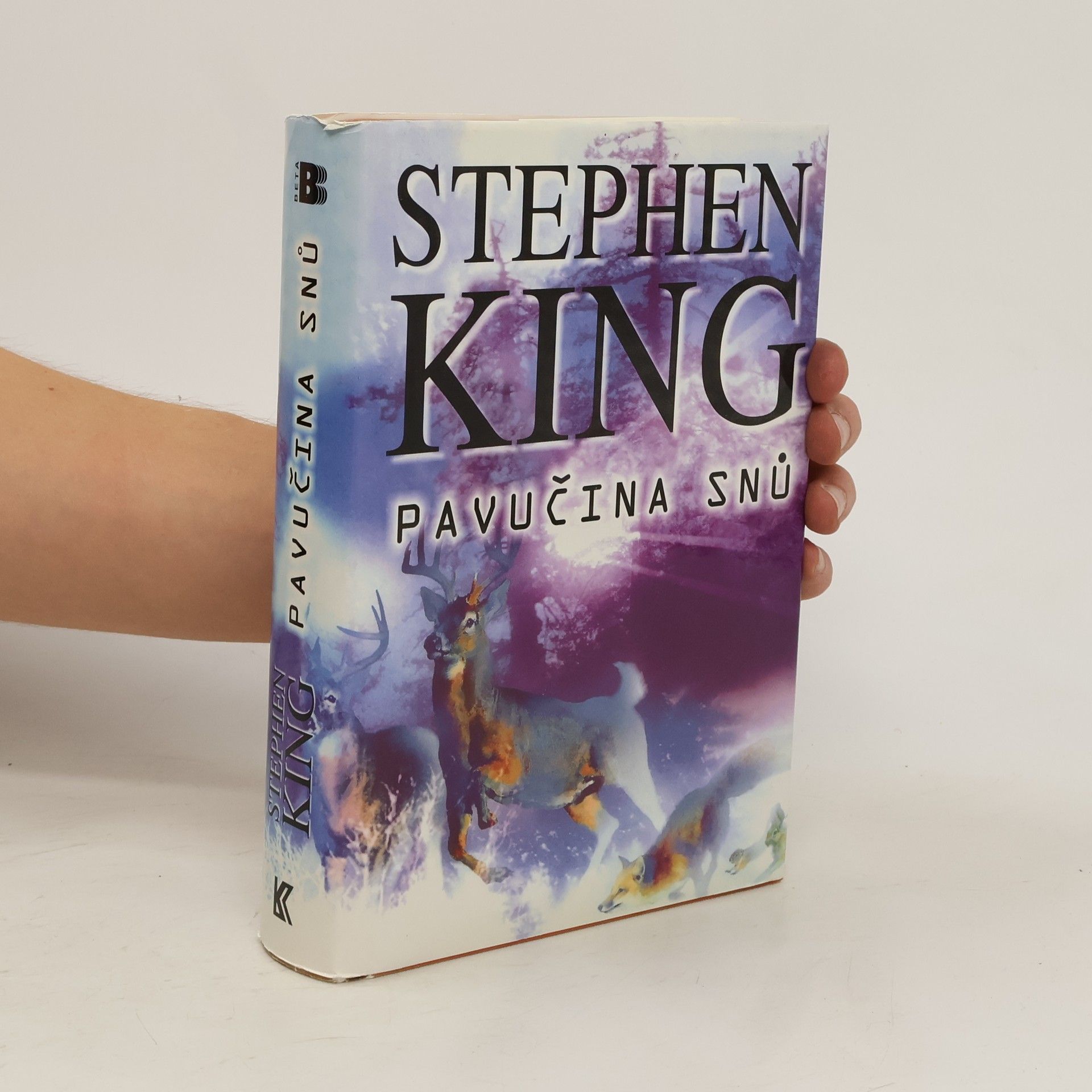 Stephen King Pavučina snů