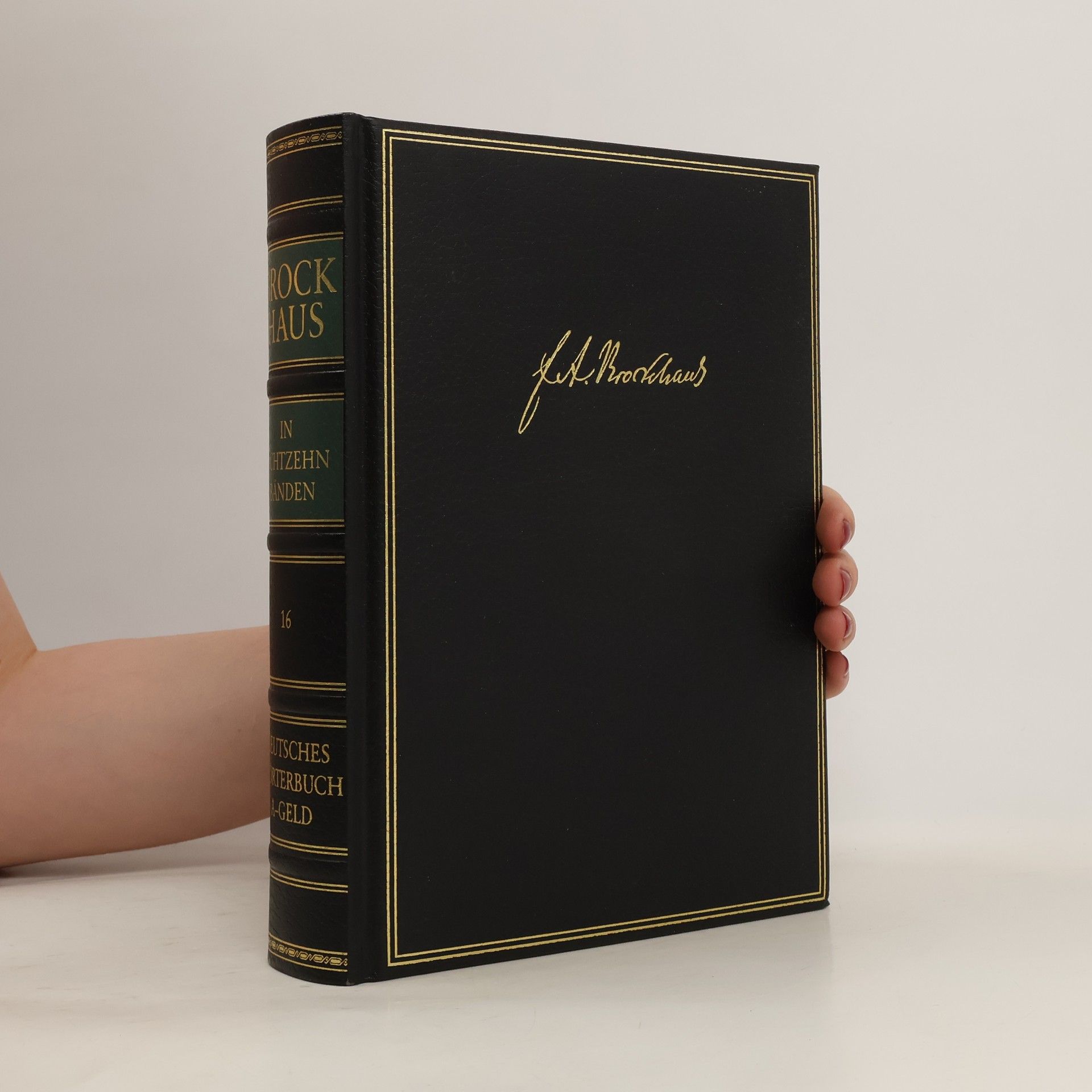 Autorenkollektiv Brockhaus in achtzehn Bänden 16