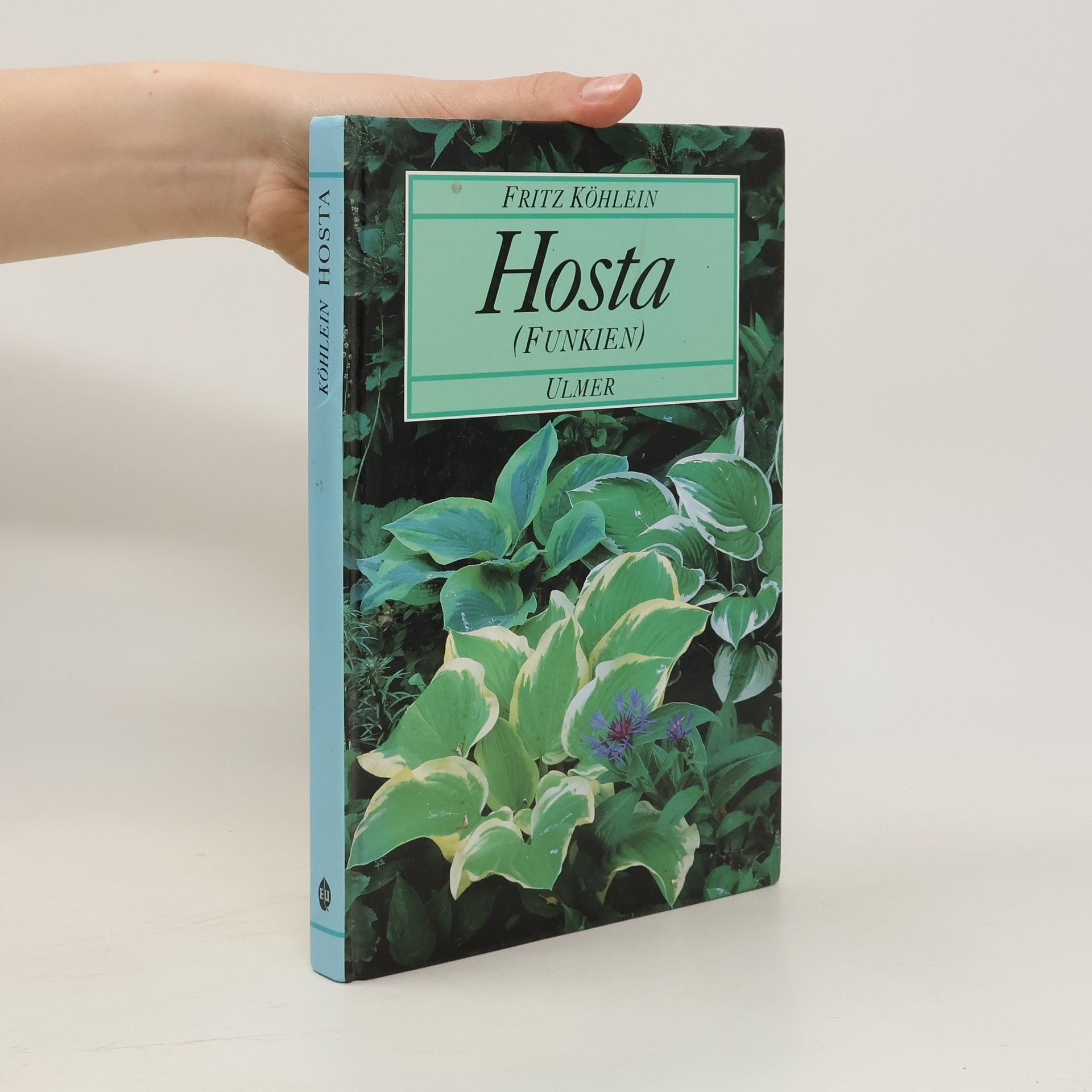 Fritz Köhlein Hosta (Funkien)