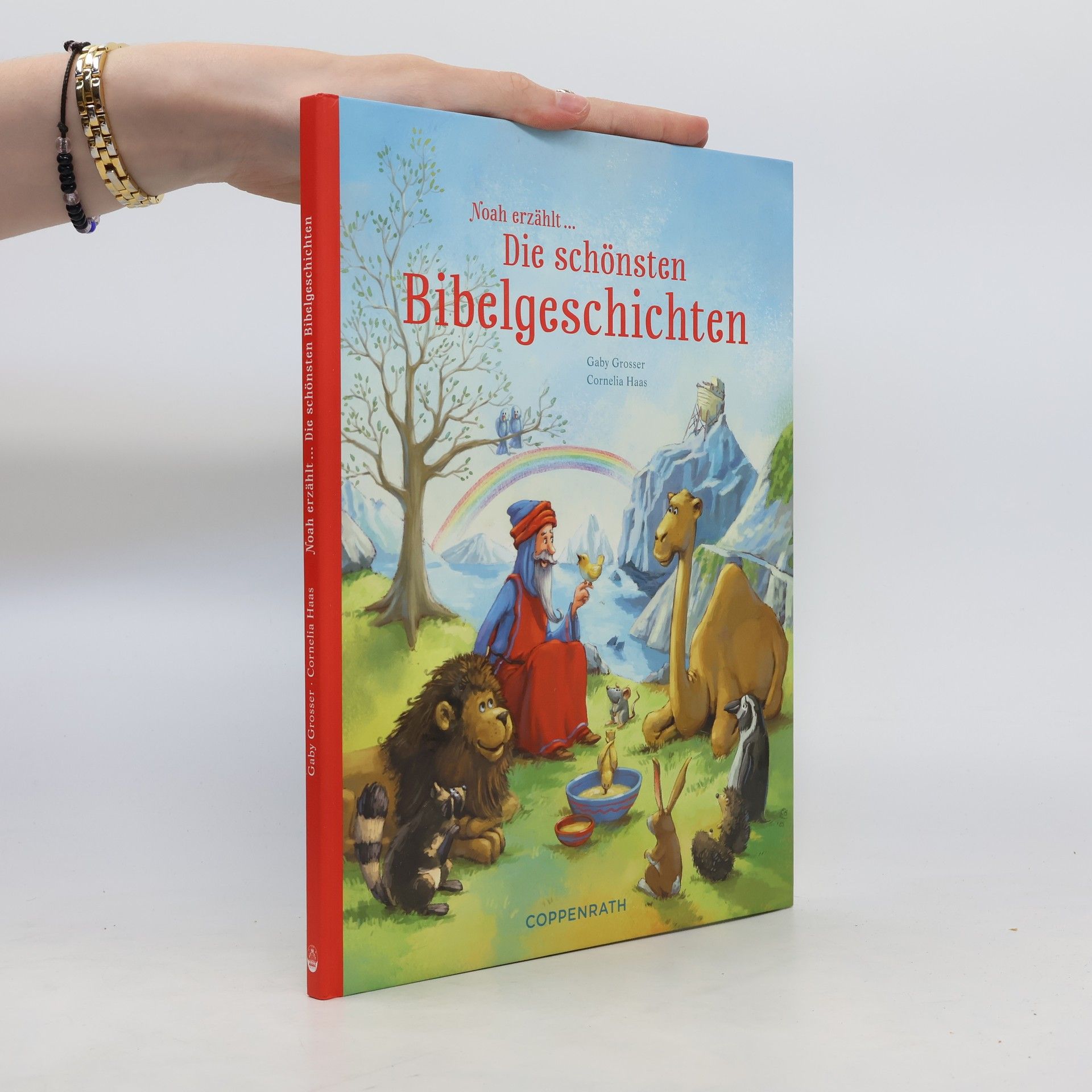 Gaby Grosser Noah erzählt ... die schönsten Bibelgeschichten