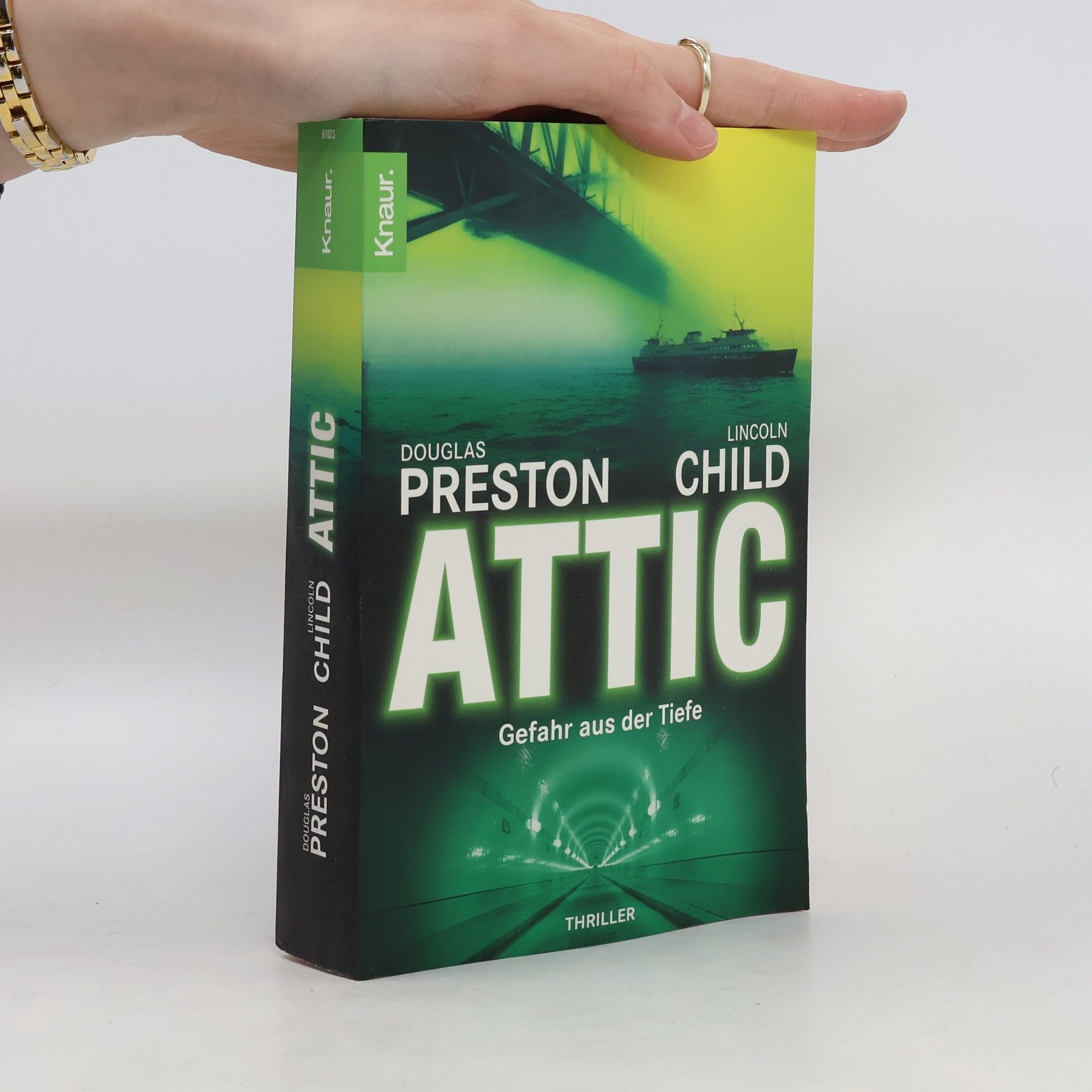 Lincoln Child Attic. Gefahr aus der Tiefe