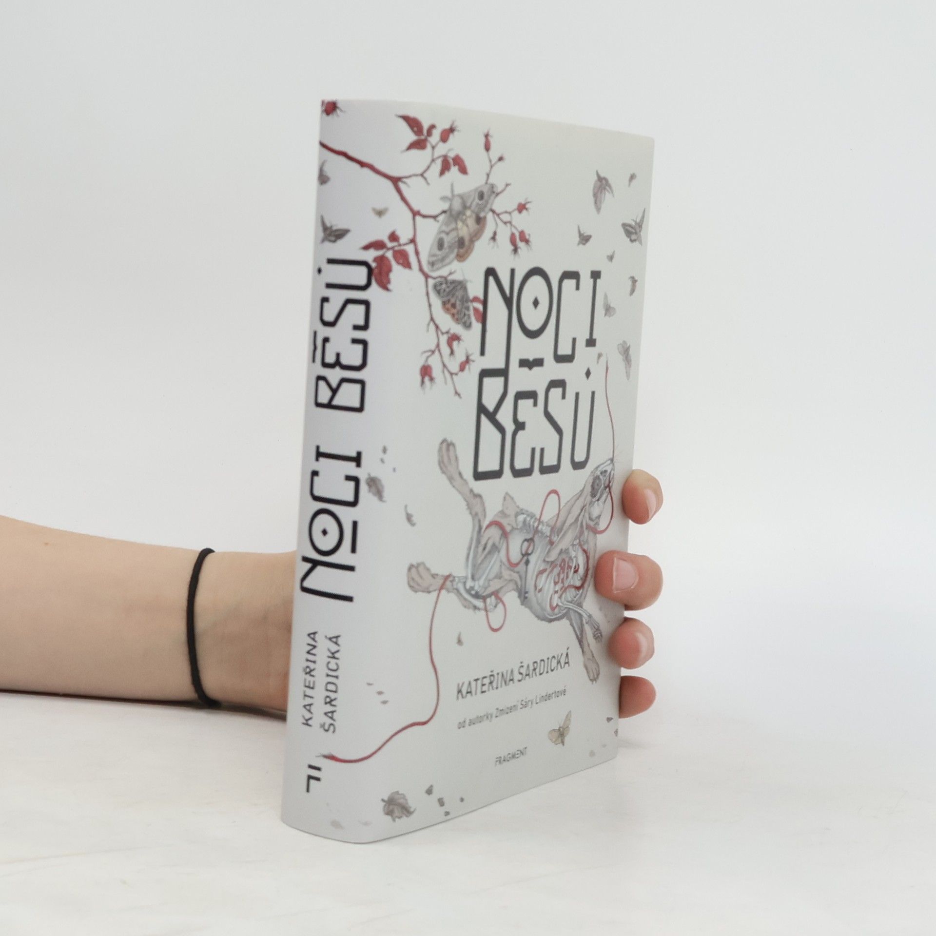 Kateřina Šardická Noci běsů