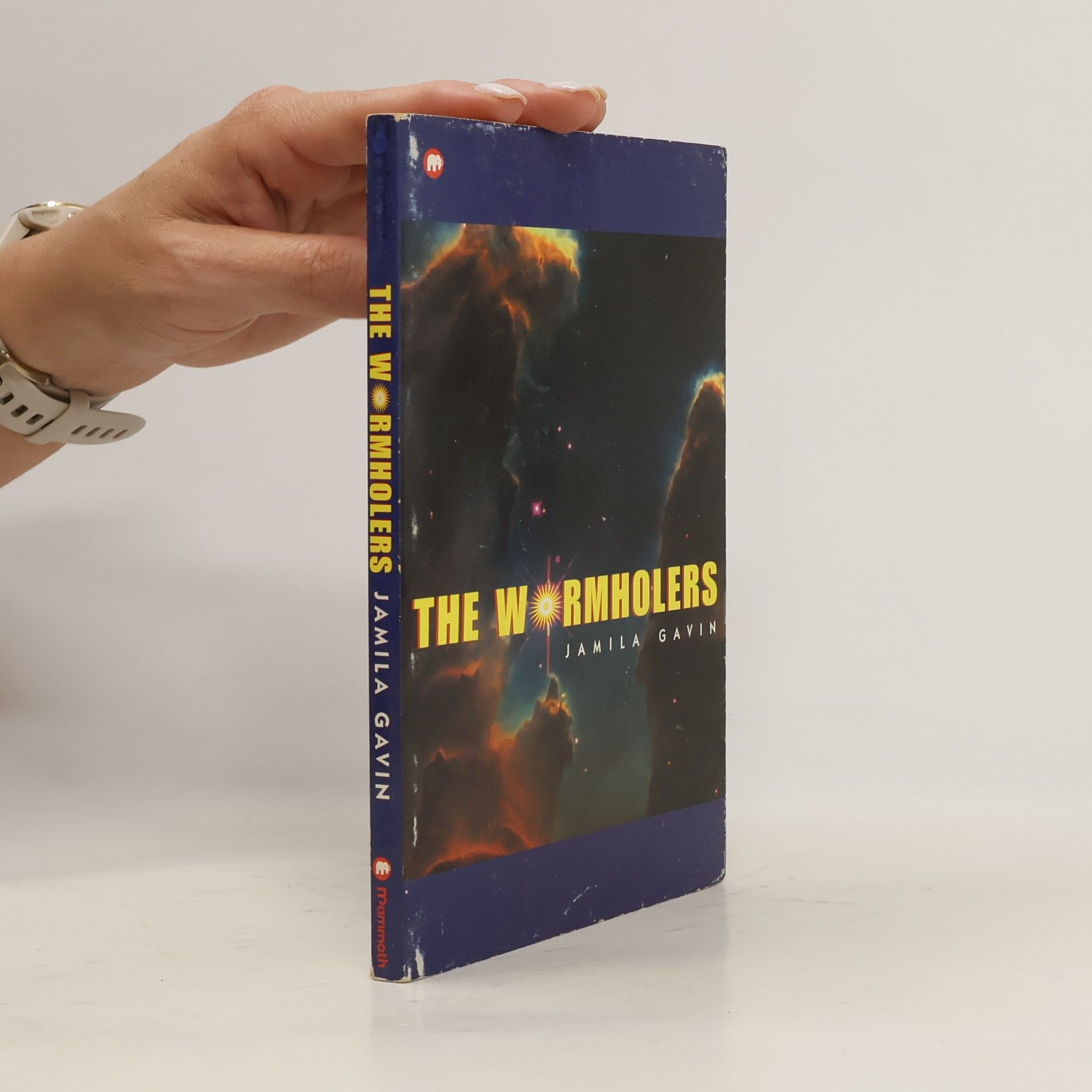 Jamila Gavin The Wormholers