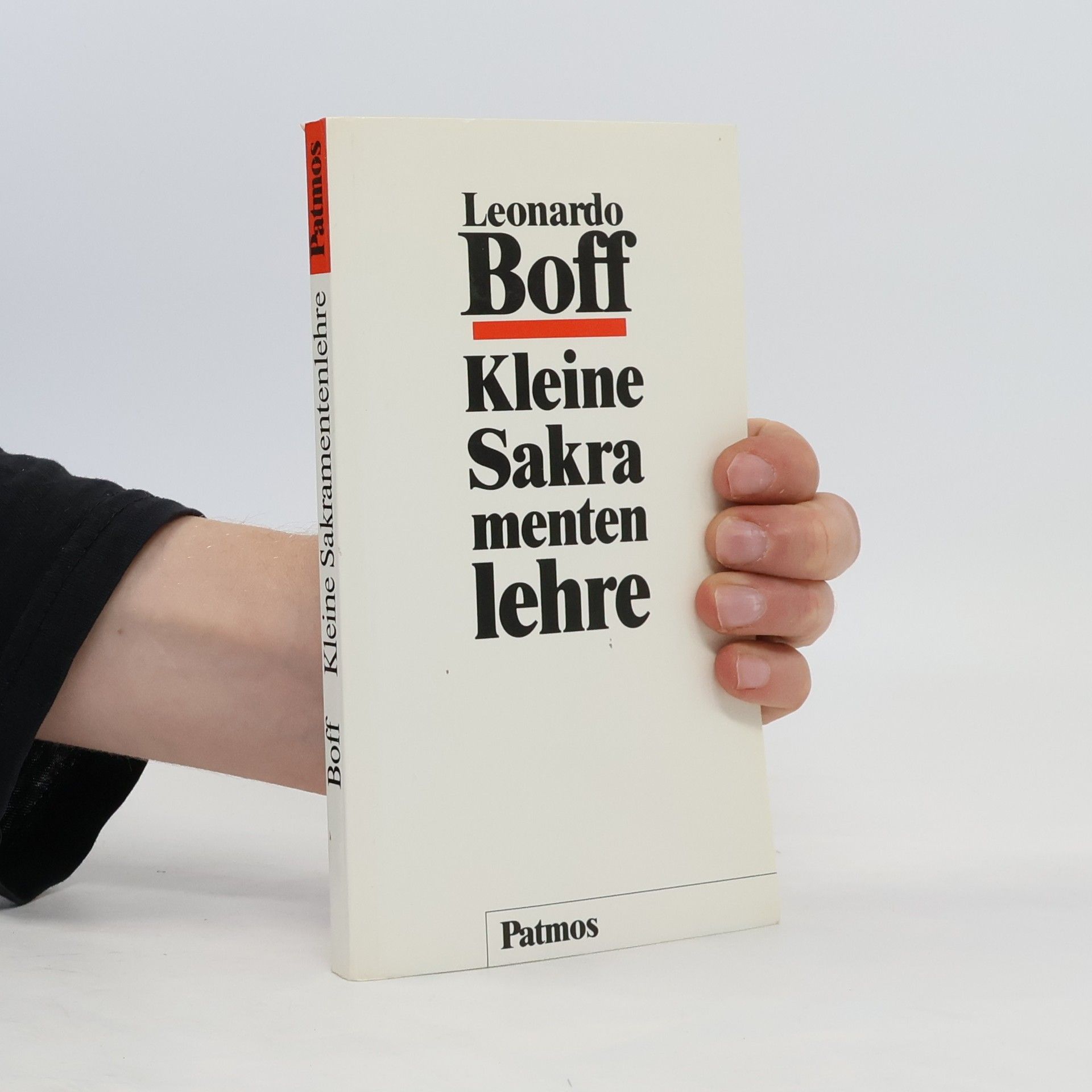 Leonardo Boff Kleine Sakramentlehre