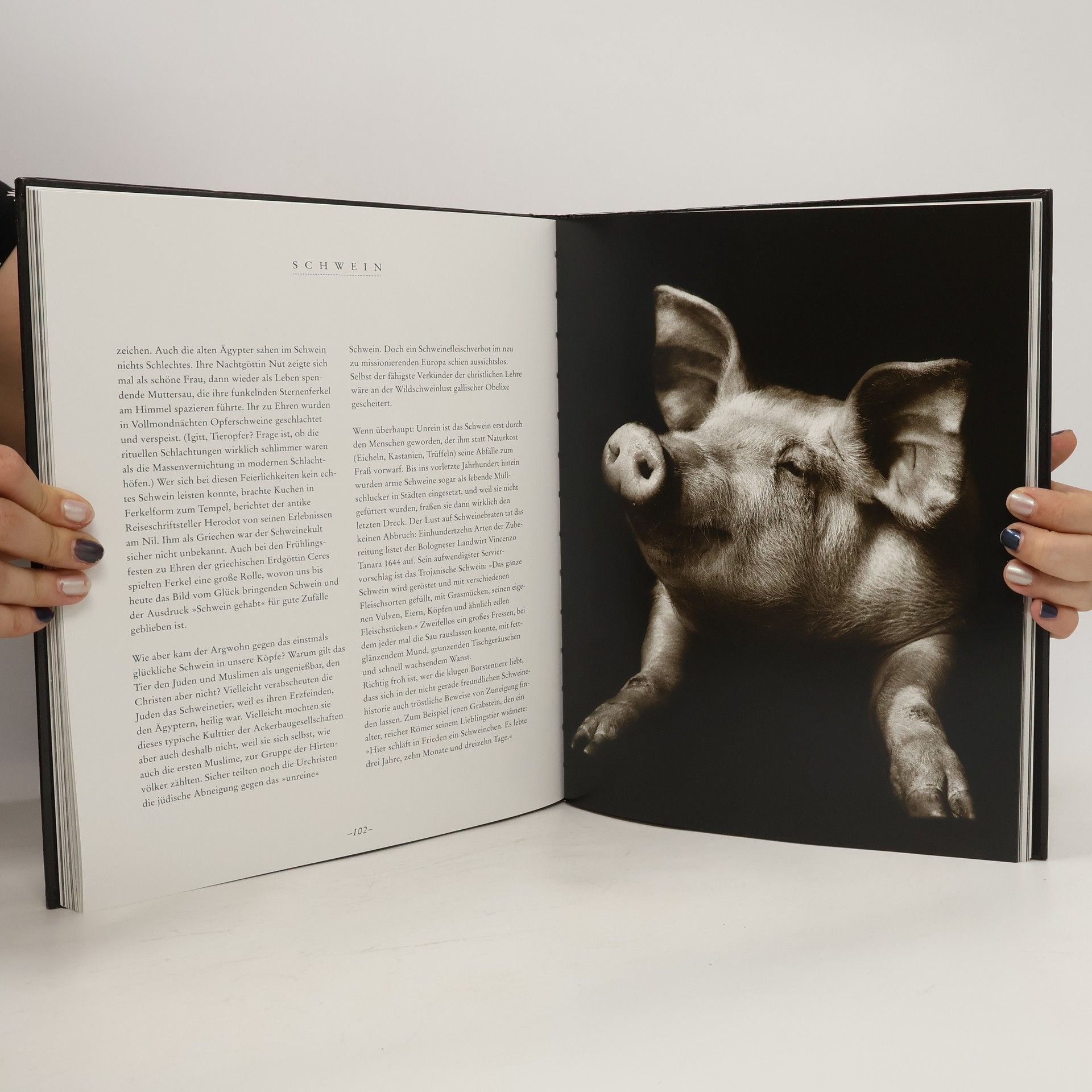 Walter Schels Die Seele der Tiere