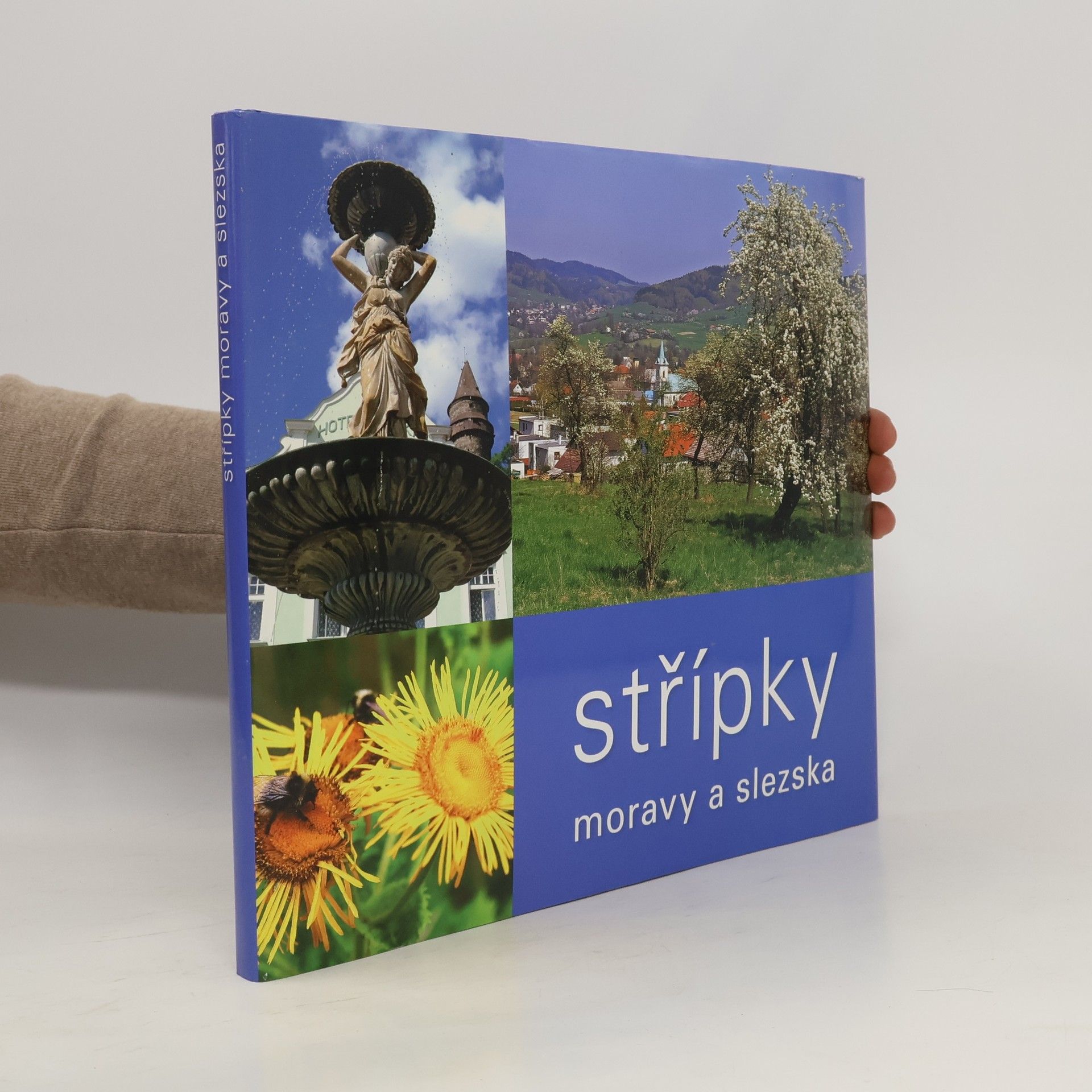 Jaromír Šlosar Střípky Moravy a Slezska