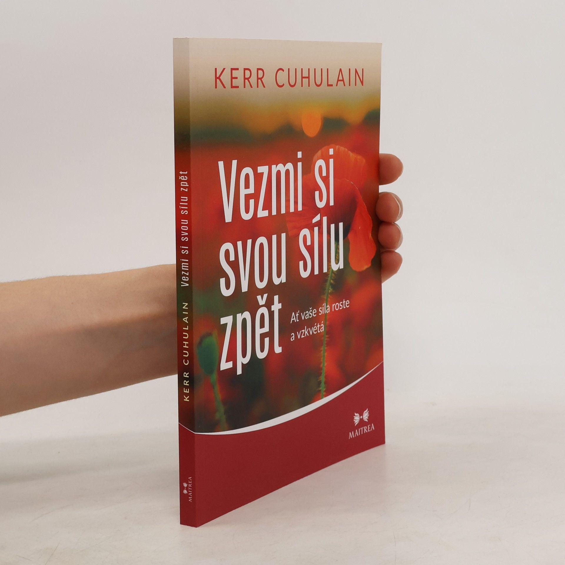 Kerr Cuhulain Vezmi si svou sílu zpět : ať vaše síla roste a vzkvétá