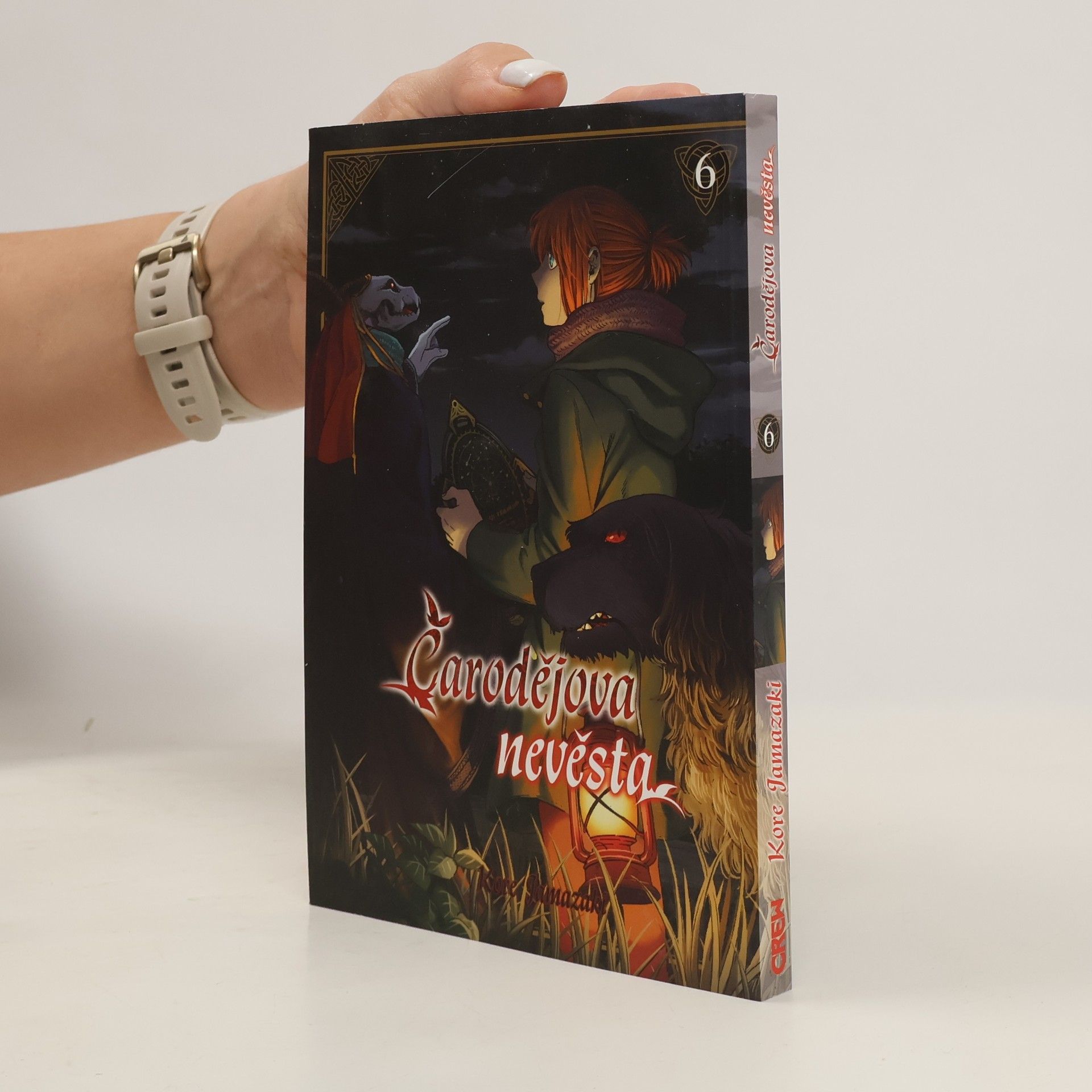 Kore Yamazaki Čarodějova nevěsta 6