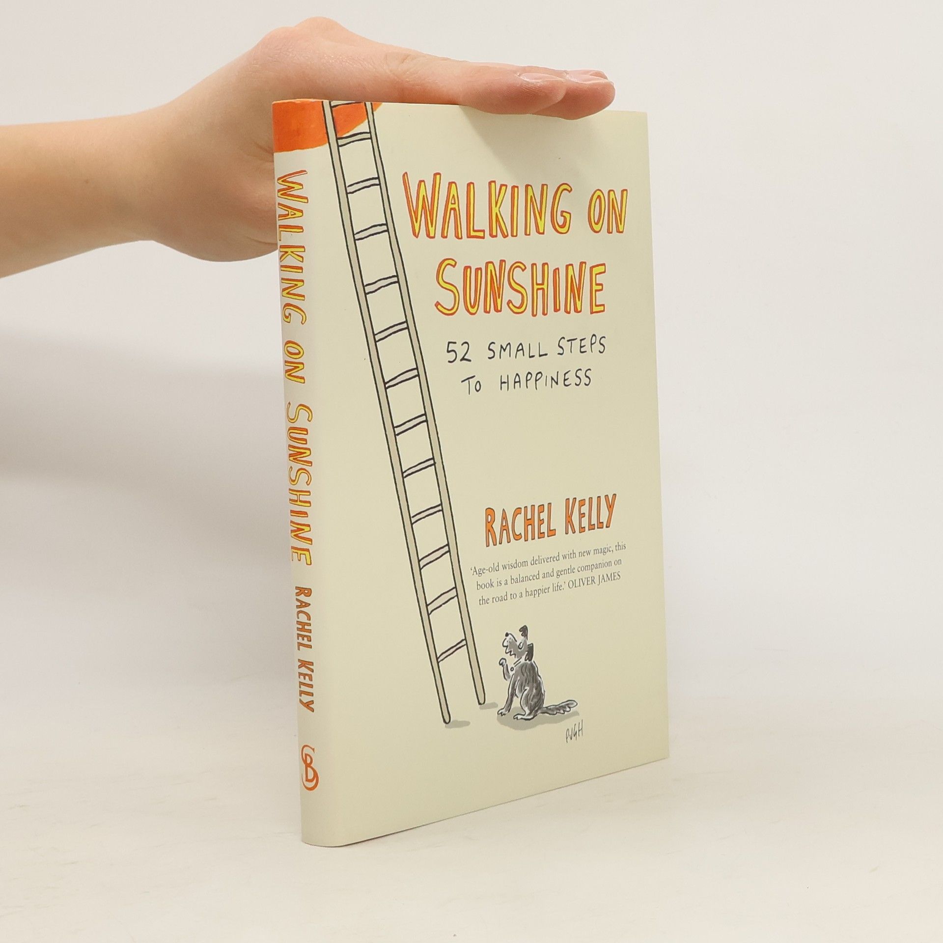 Rachel Kelly Walking on sunshine : 52 small steps to happiness