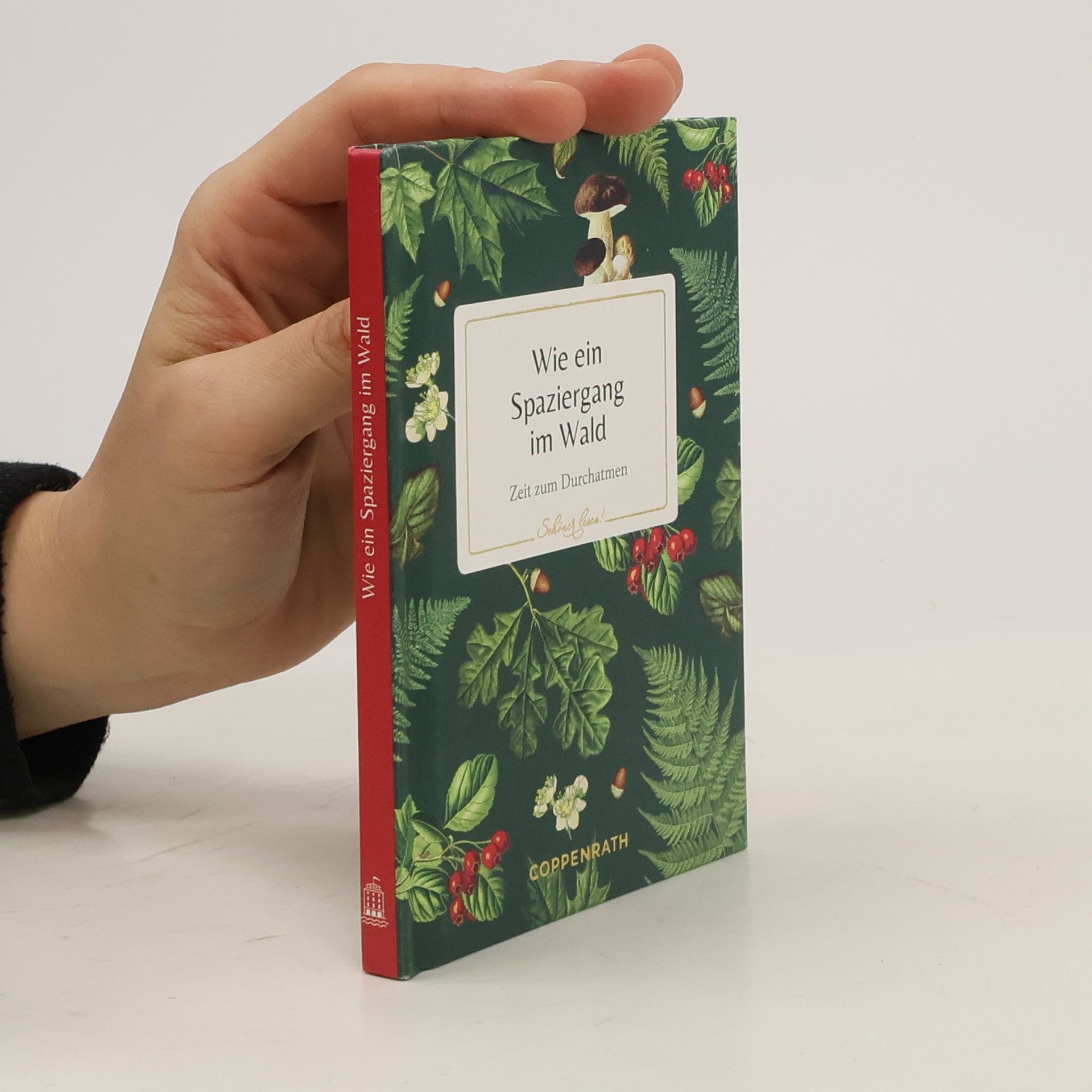 Autorenkollektiv Wie ein Spaziergang im Wald. Zeit zum Durchatmen