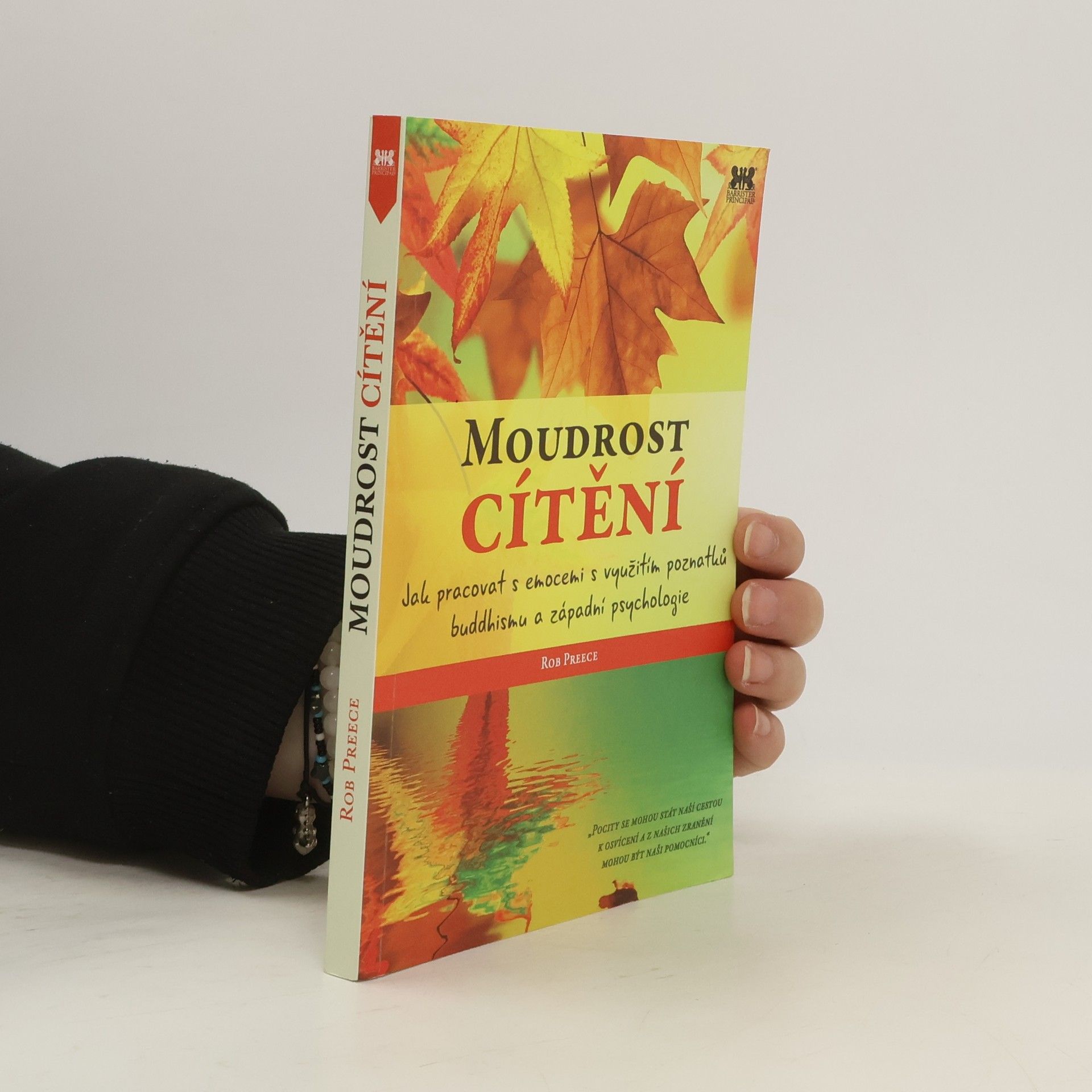 Rob Preece Moudrost cítění