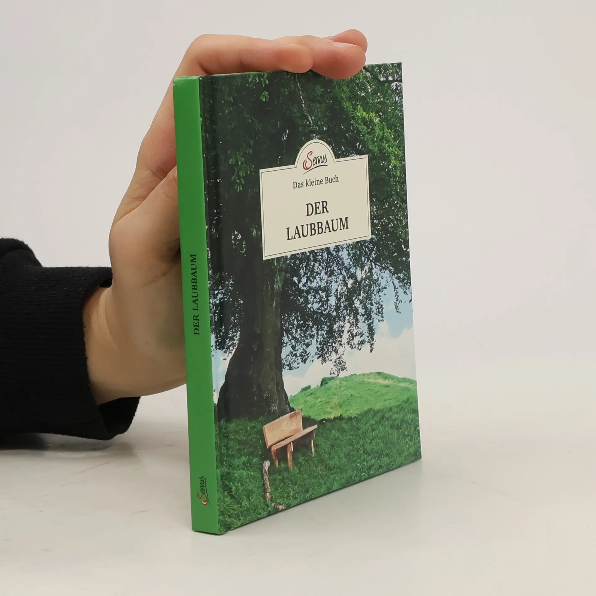 Der Laubbaum | Book | Hardcover | Julia Kospach | DE
