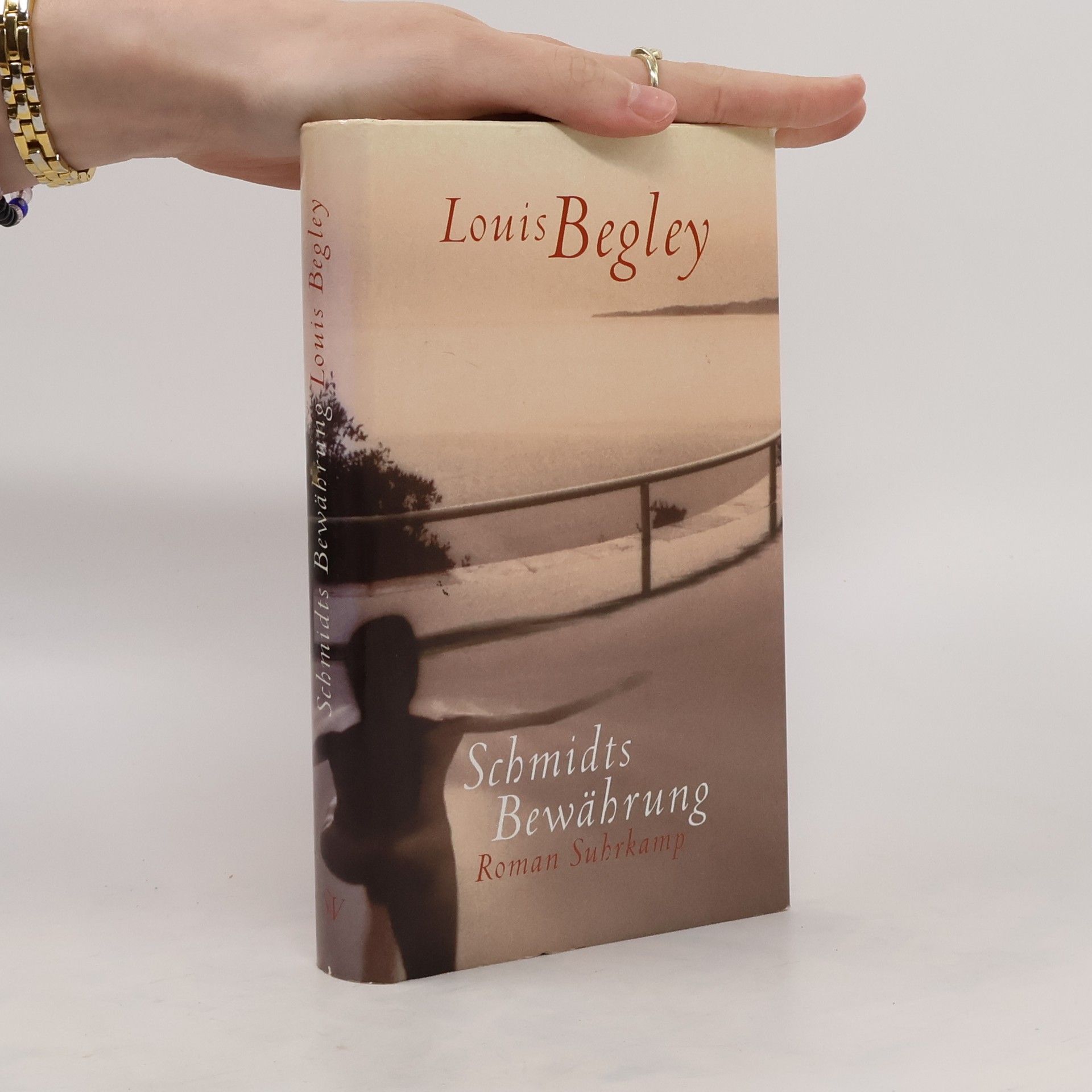 Louis Begley Schmidts Bewährung