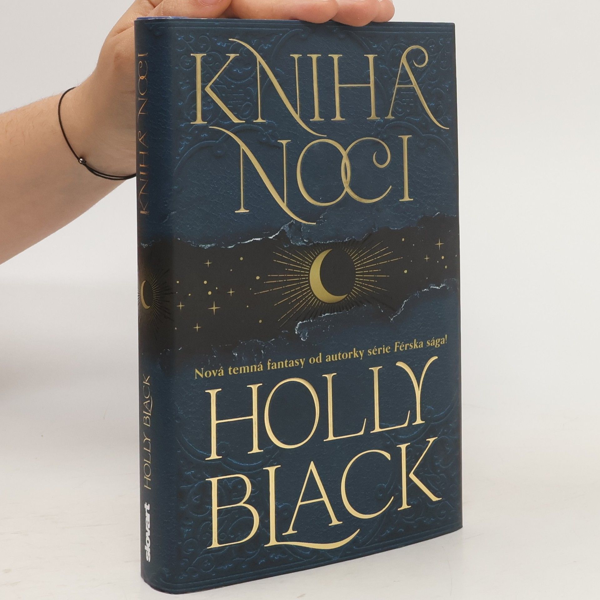 Holly Black Kniha noci