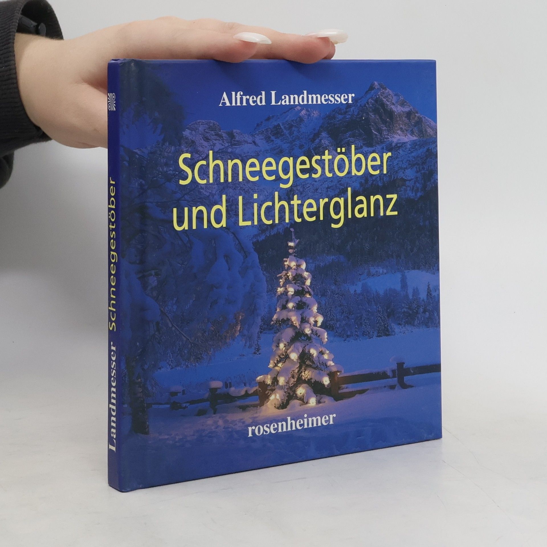 Alfred Landmesser Schneegestöber und Lichterglanz