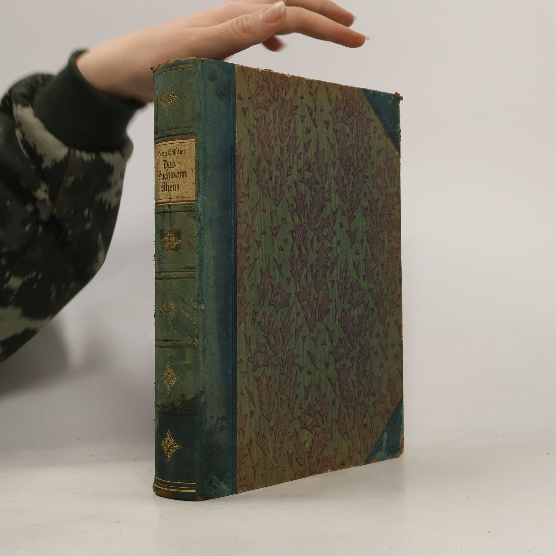 Georg Hölscher Das Buch vom Rhein