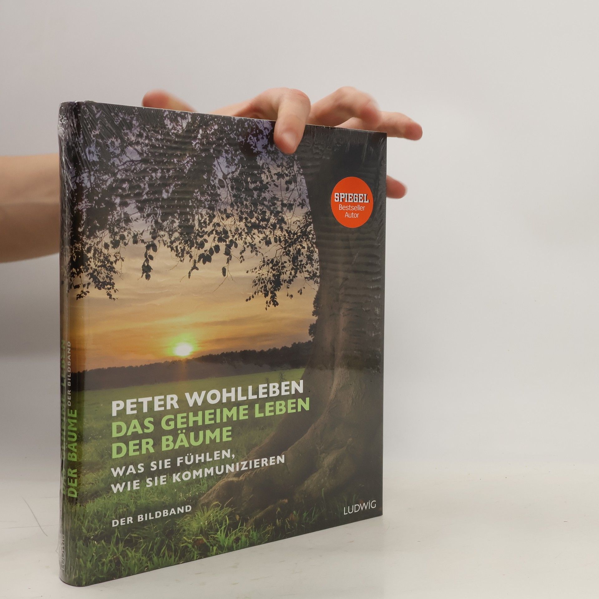 Peter Wohlleben Das geheime Leben der Bäume