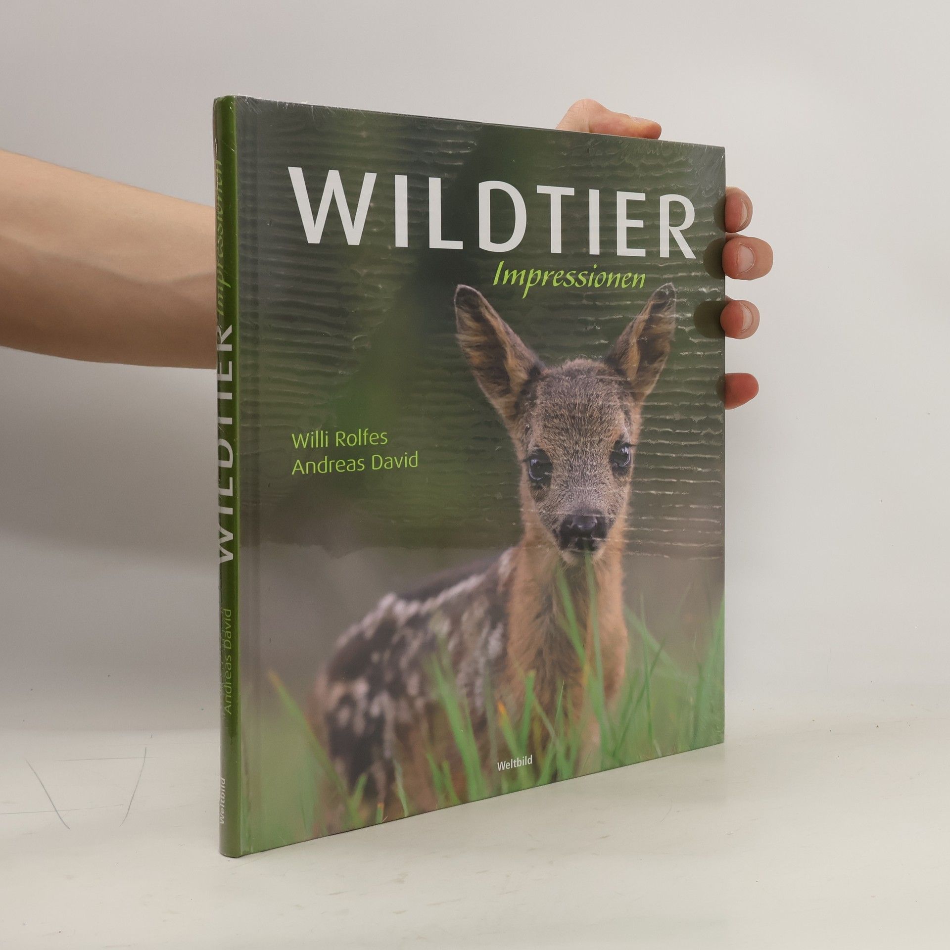 Andreas David Wildtier Impressionen