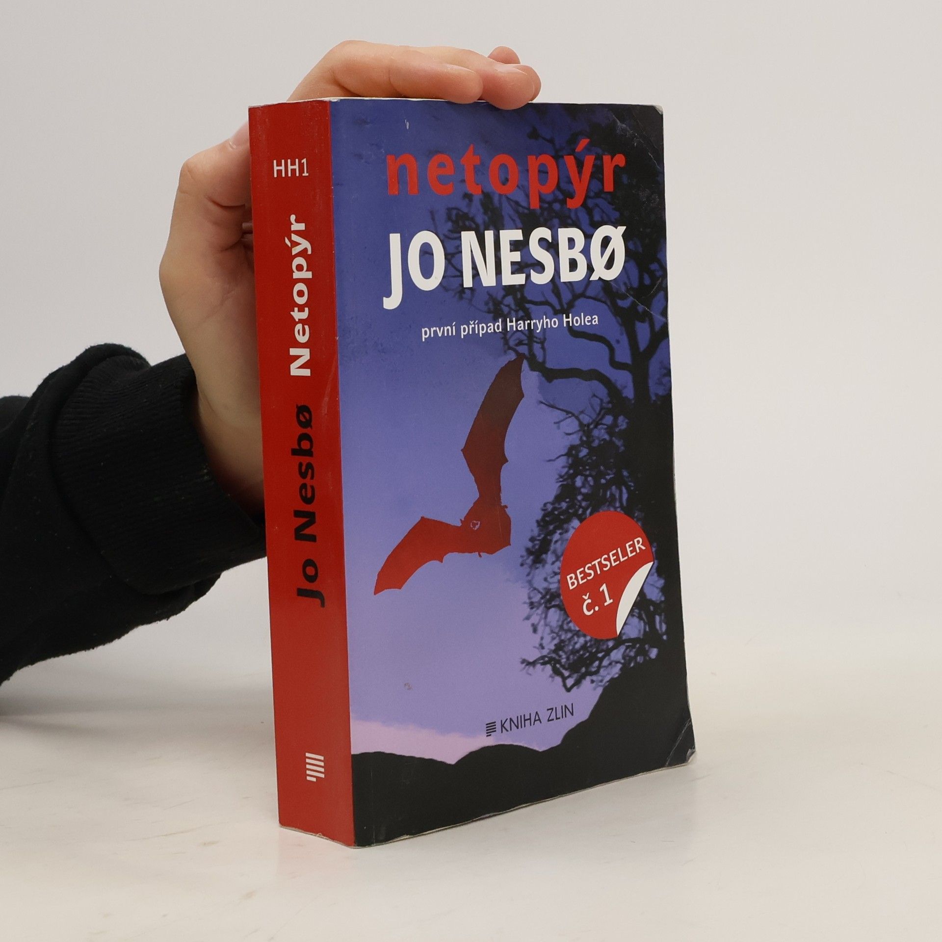 Jo Nesbø Netopýr. První případ Harryho Holea