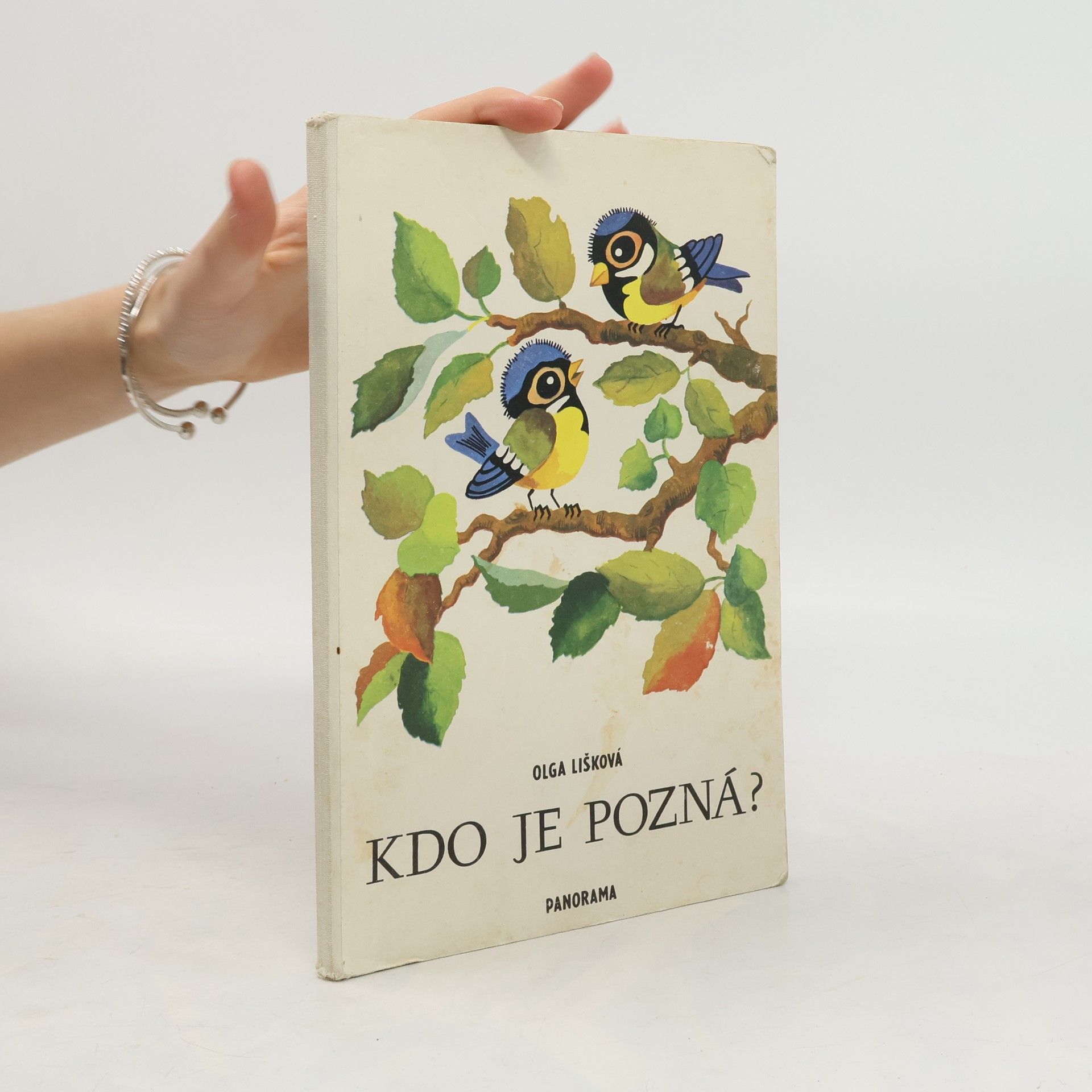 Olga Lišková Kdo je pozná?