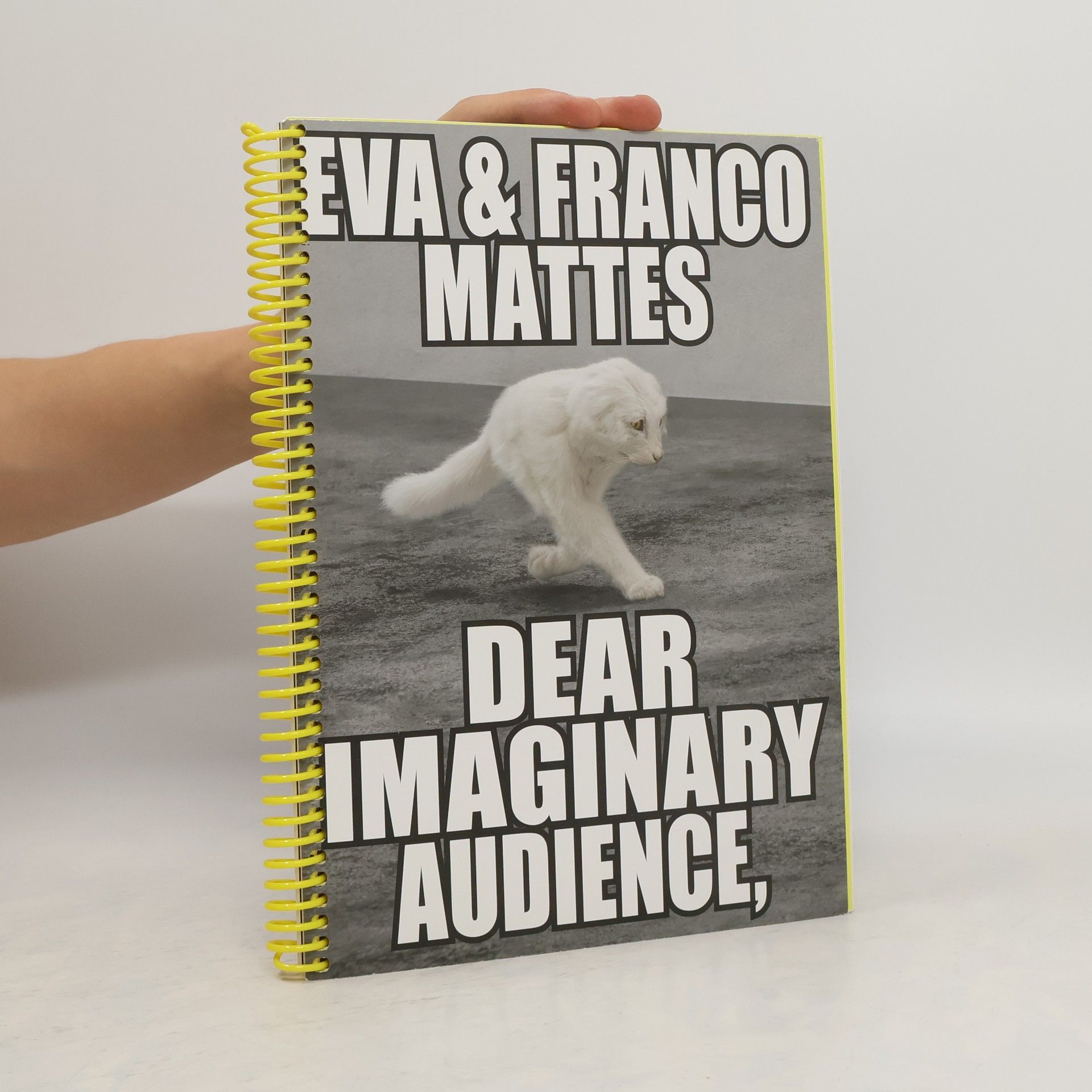 Cory Arcangel Eva & Franco Mattes. Dear Imaginary Audience
