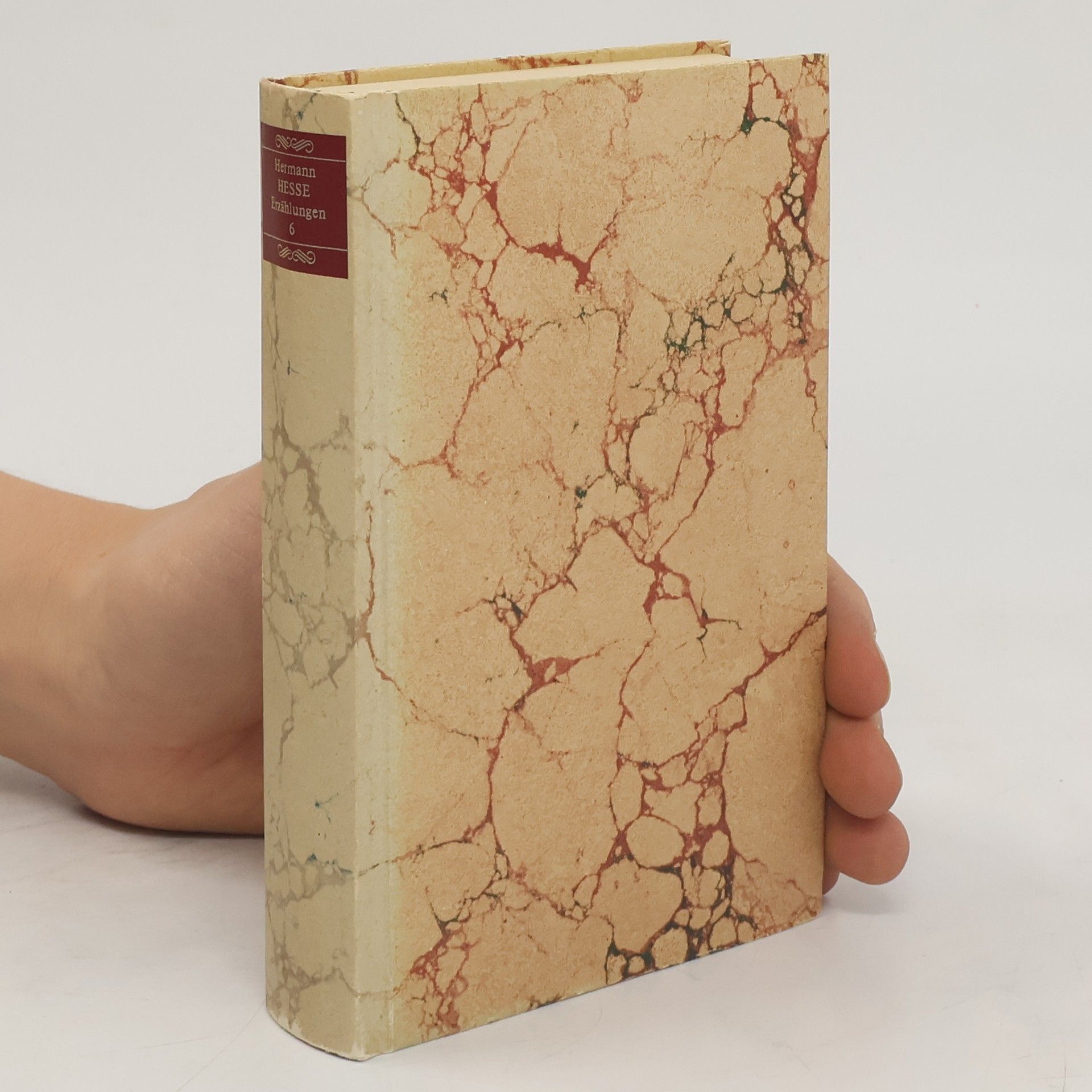 Hermann Hesse Erzählungen. Band 6
